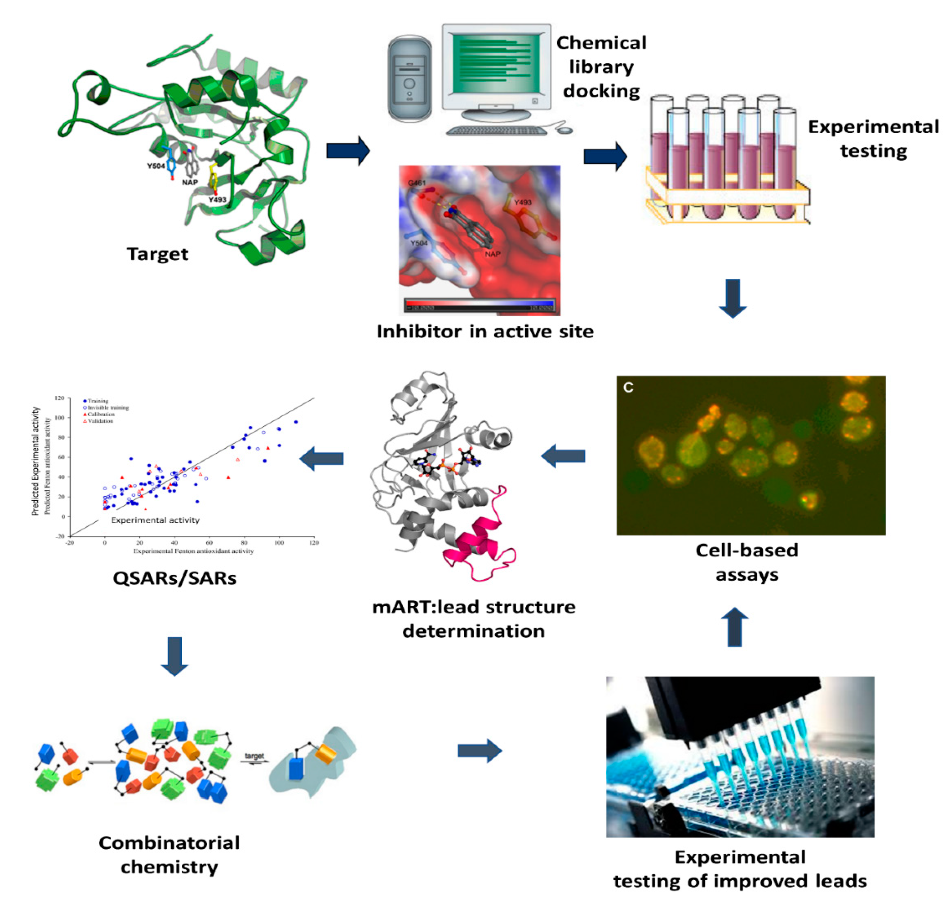 Toxins 13 00016 g002