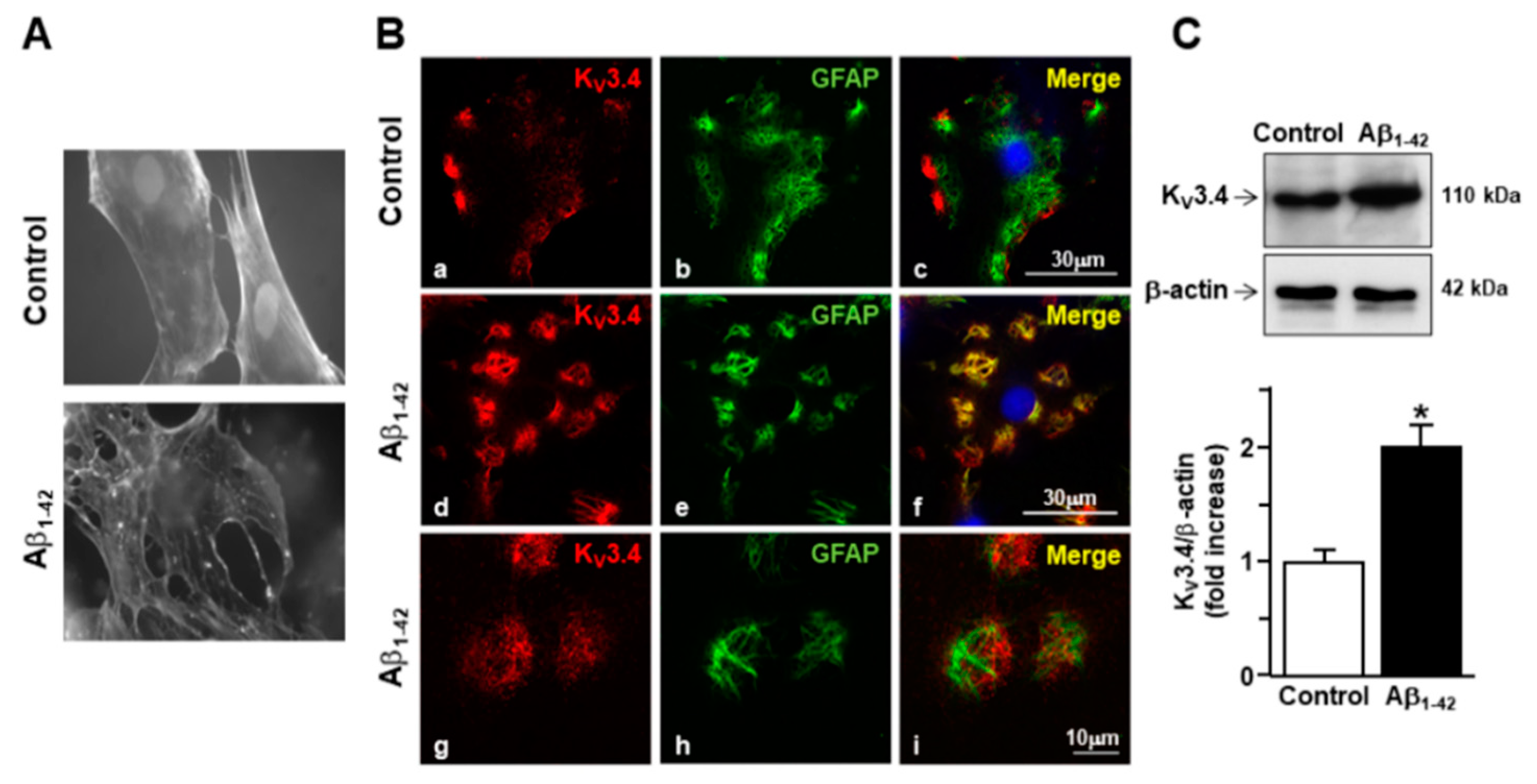 Toxins 13 00020 g001