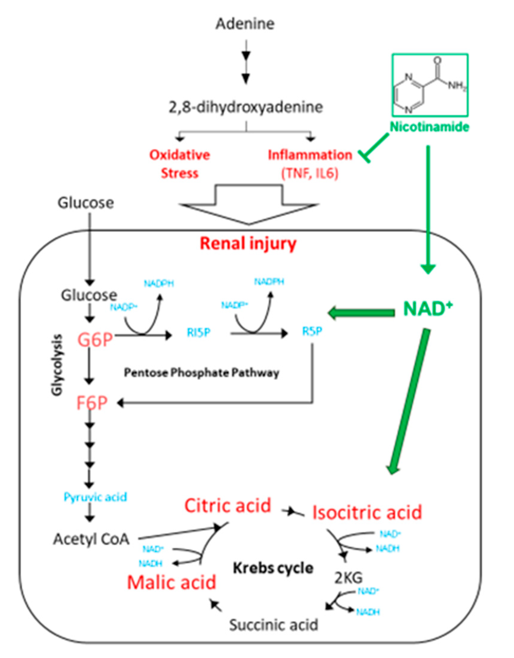 Toxins 13 00050 g007 Toxins 13 00050 g007
