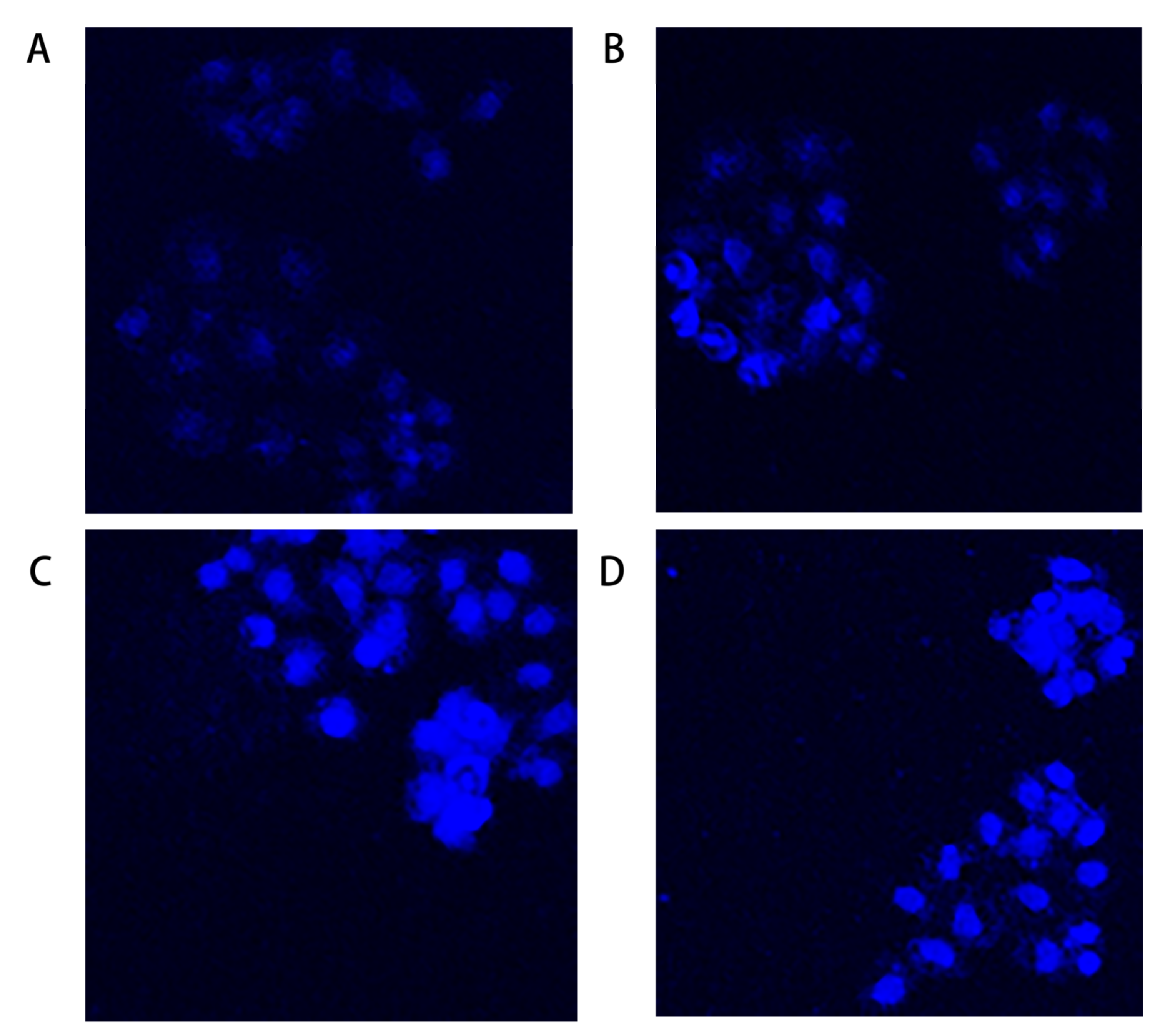 Toxins 13 00095 g003