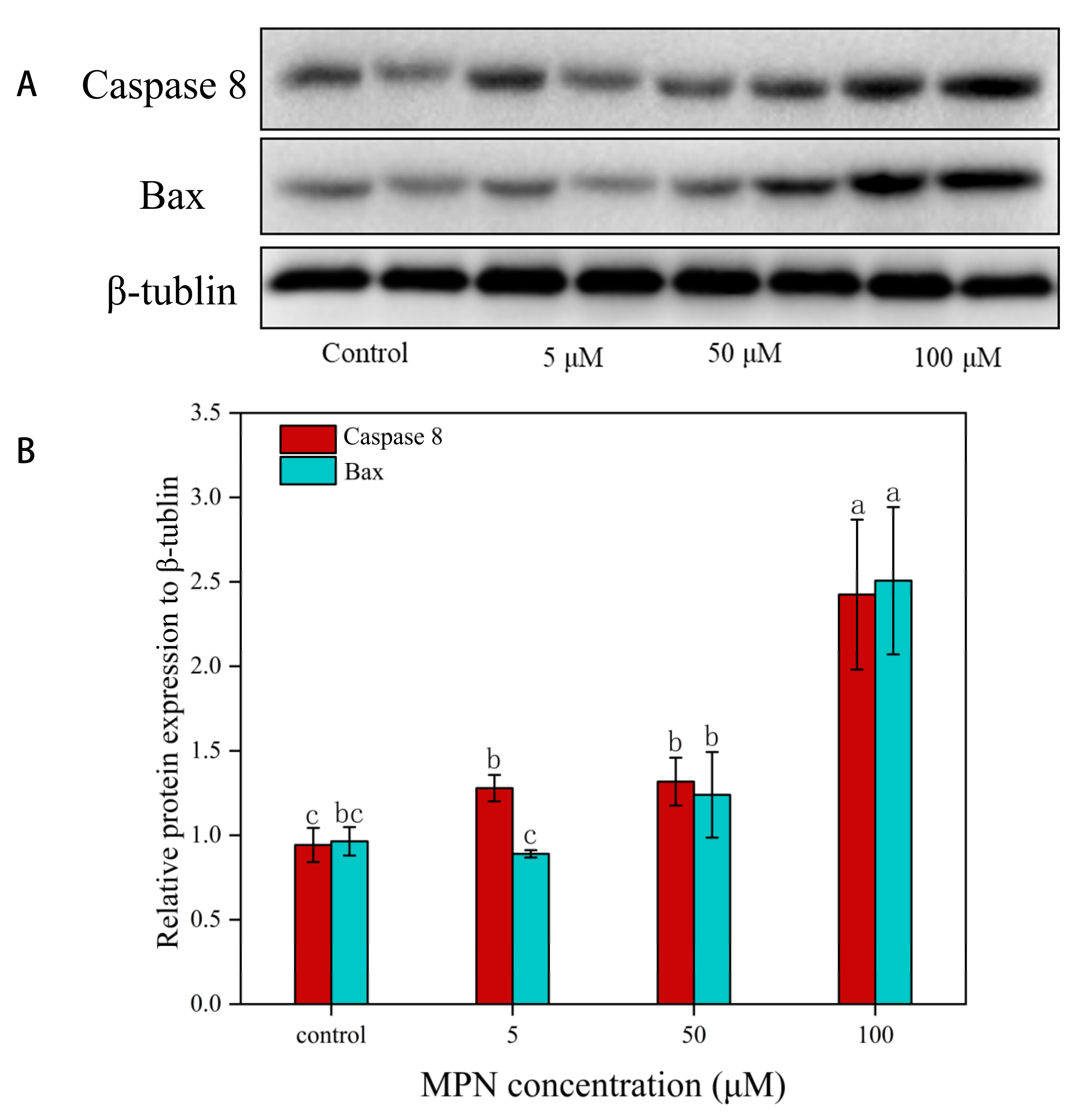 Toxins 13 00095 g007