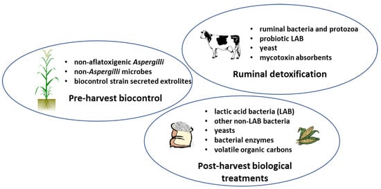 https://www.mdpi.com/toxins/toxins-13-00104/article_deploy/html/images/toxins-13-00104-g001-550.jpg