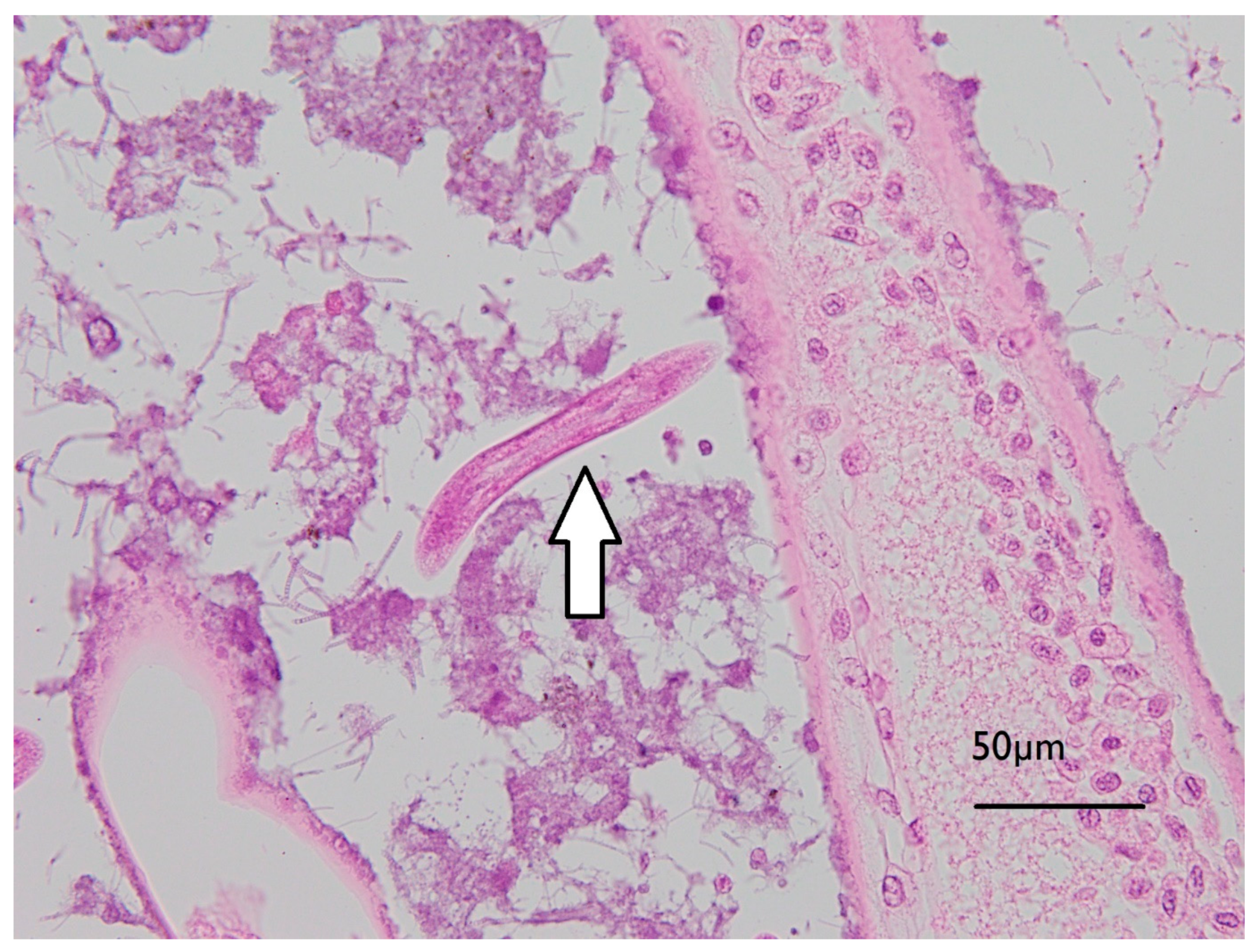 Toxins 13 00129 g006 Toxins 13 00129 g006