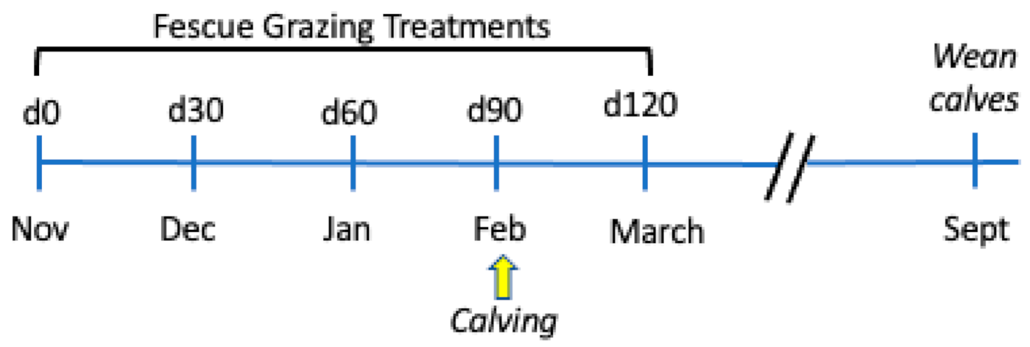 Toxins Free Full Text Effects Of Tall Fescue Endophyte Type And Dopamine Receptor D2 Genotype On Cow Calf Performance During Late Gestation And Early Lactation Html