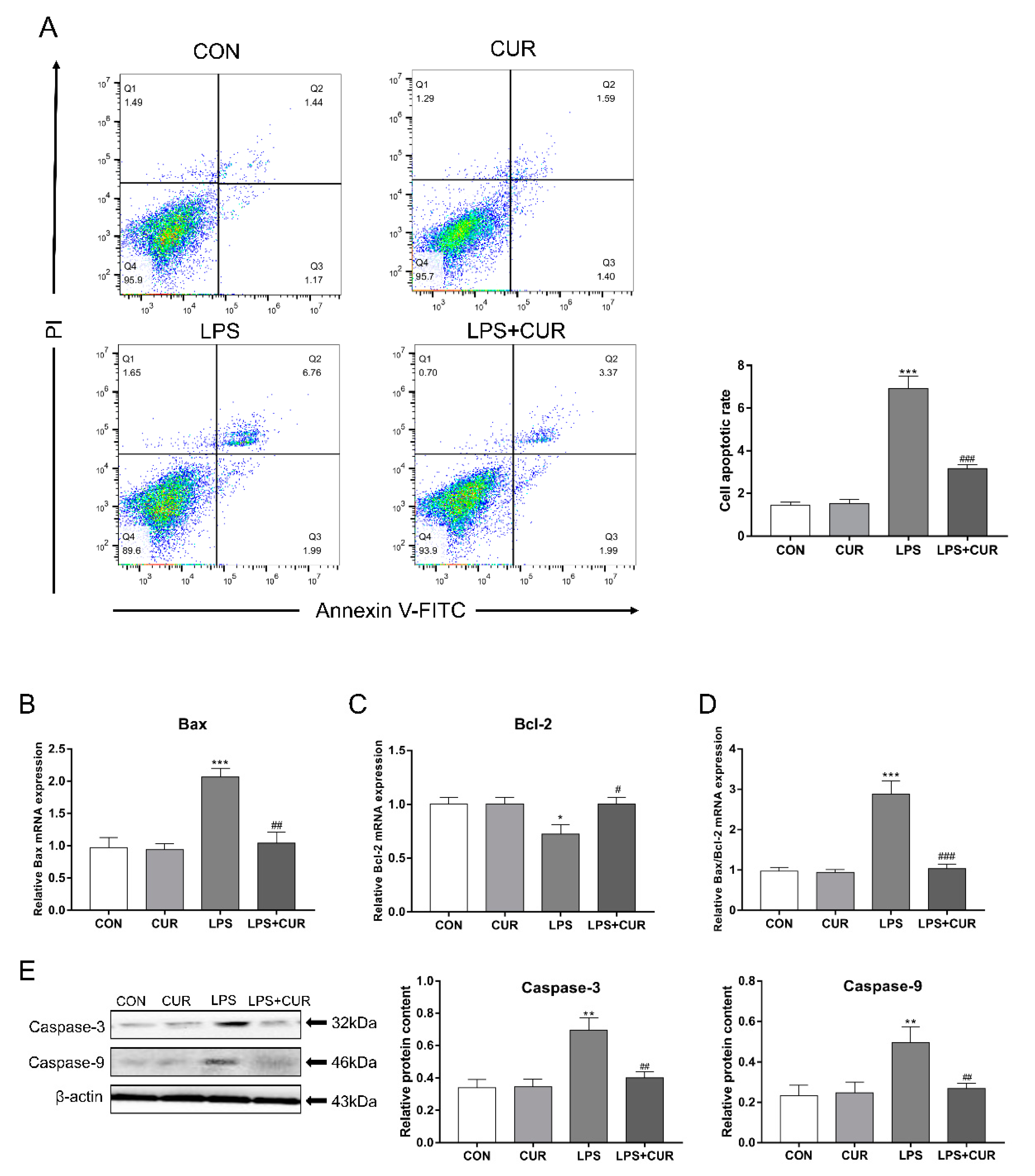 Toxins | Free Full-Text | Curcumin Alleviates LPS-Induced Oxidative ...