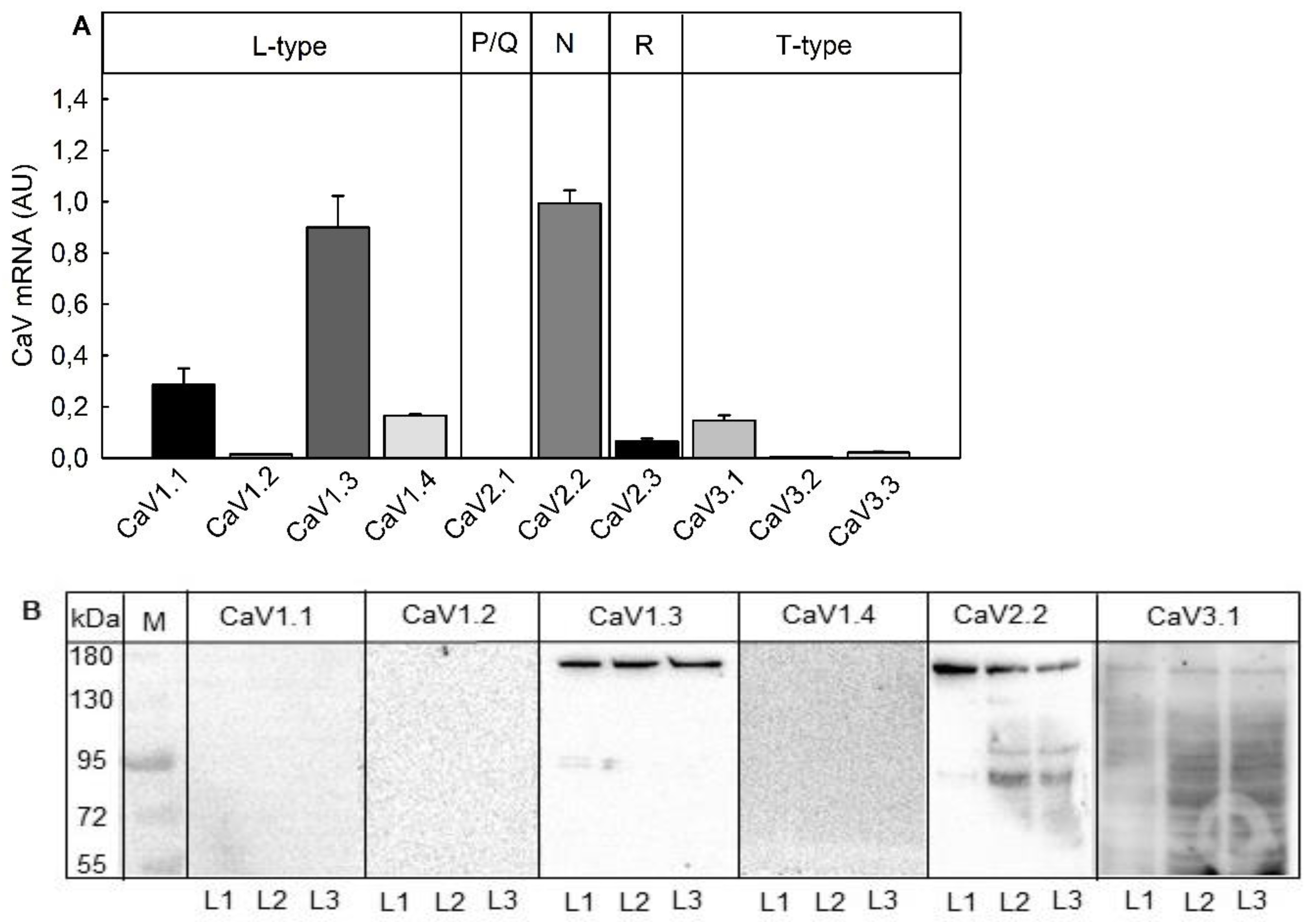 Toxins 13 00247 g003