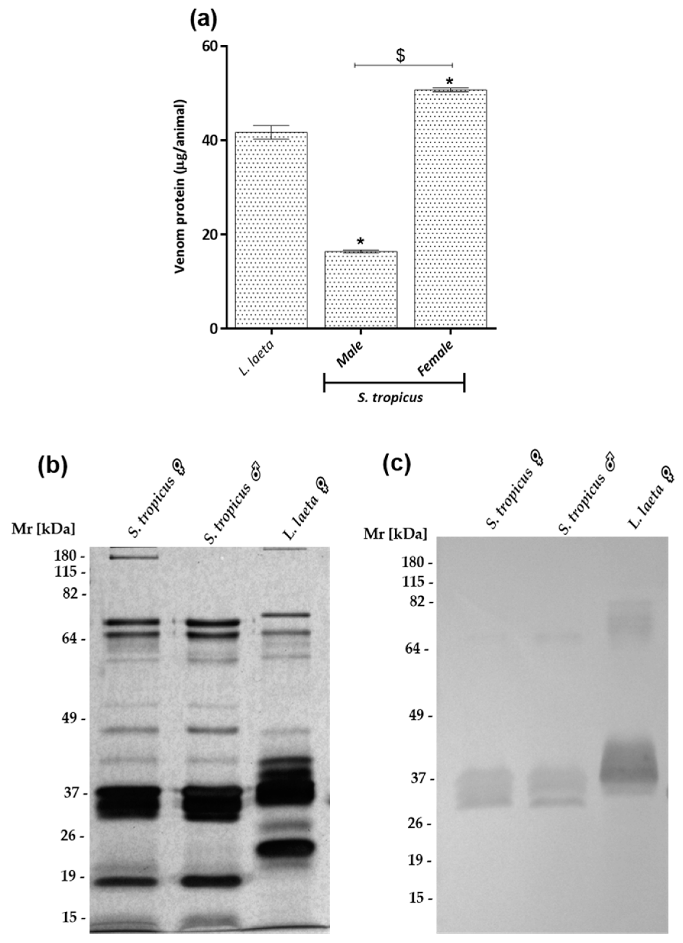 Toxins 13 00256 g002 Toxins 13 00256 g002