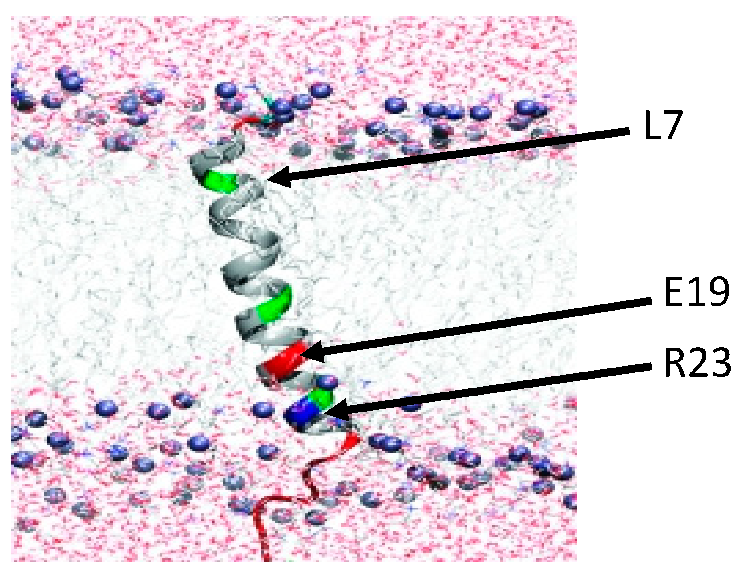 Toxins 13 00329 g006