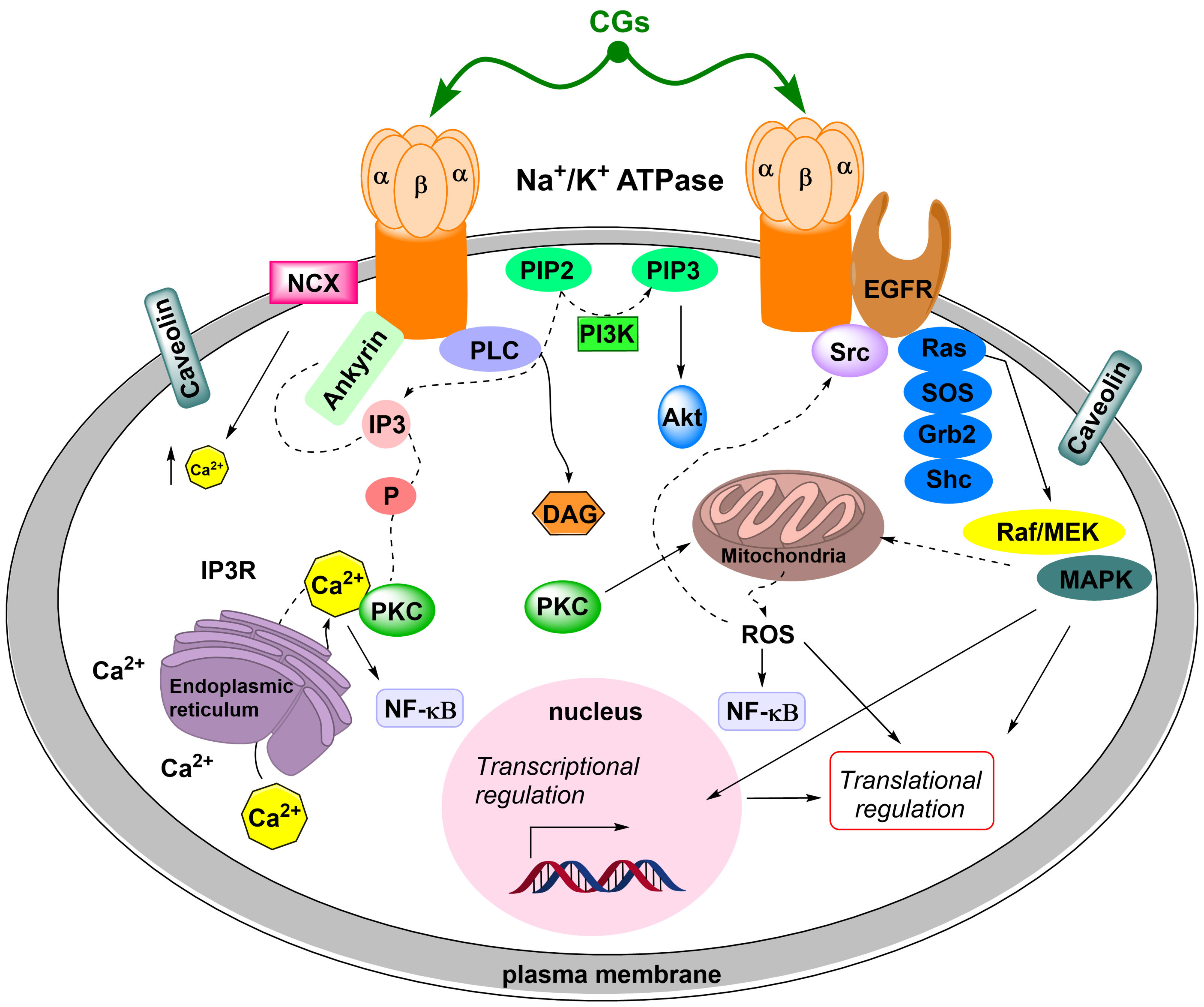 Toxins 13 00344 g010