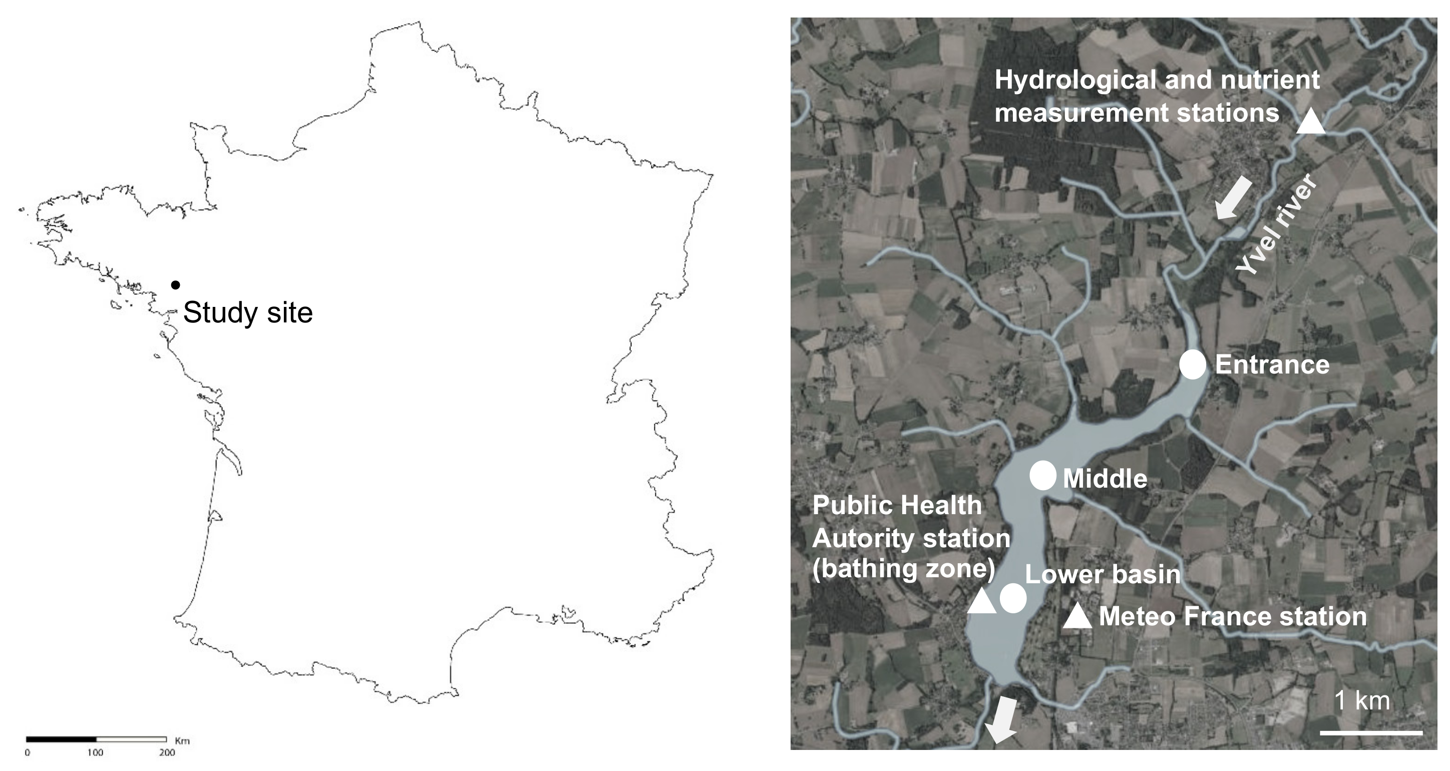 Toxins 13 00351 g007