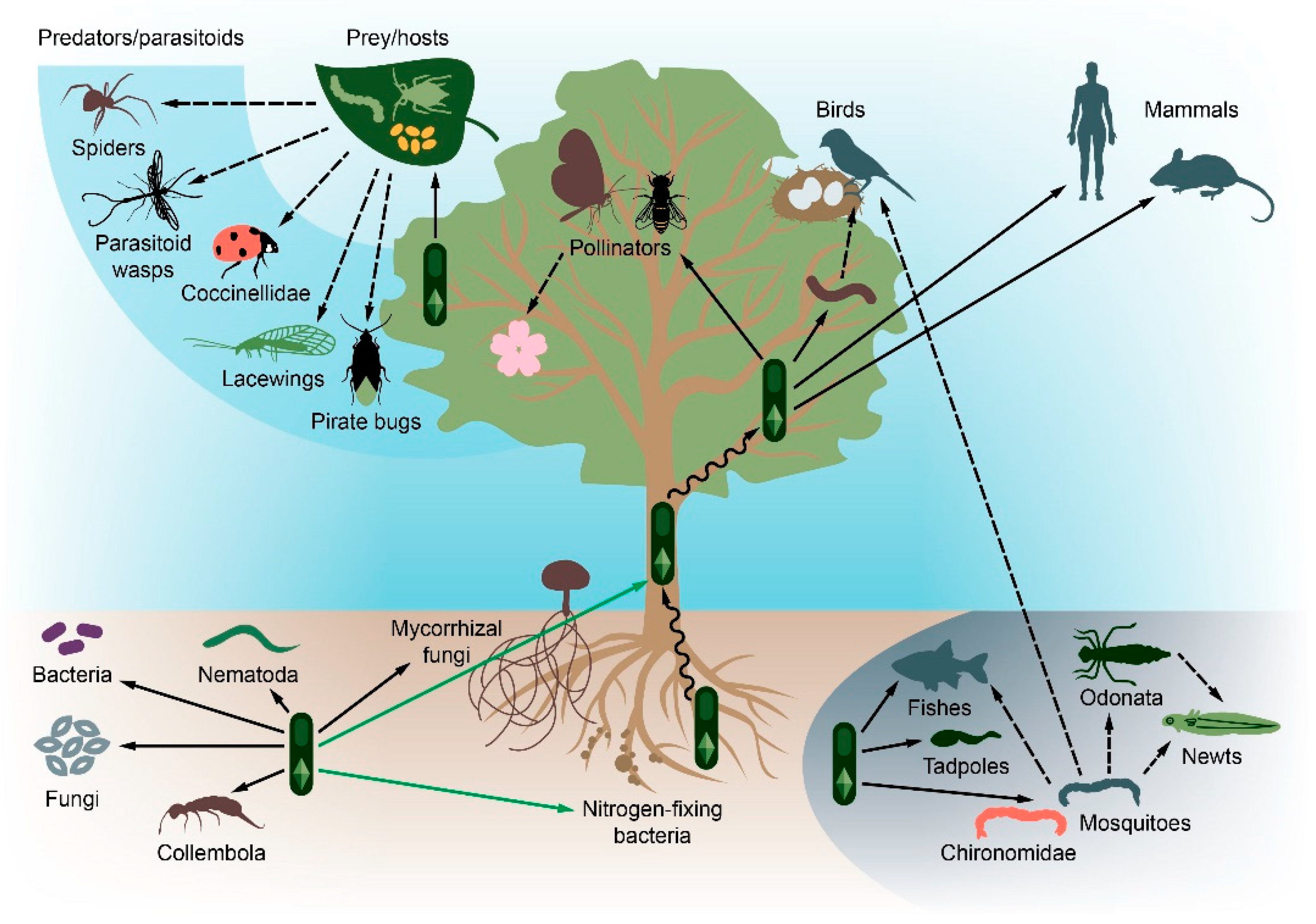 Toxins | Free Full-Text | Dissecting the Environmental Consequences of  Bacillus thuringiensis Application for Natural Ecosystems