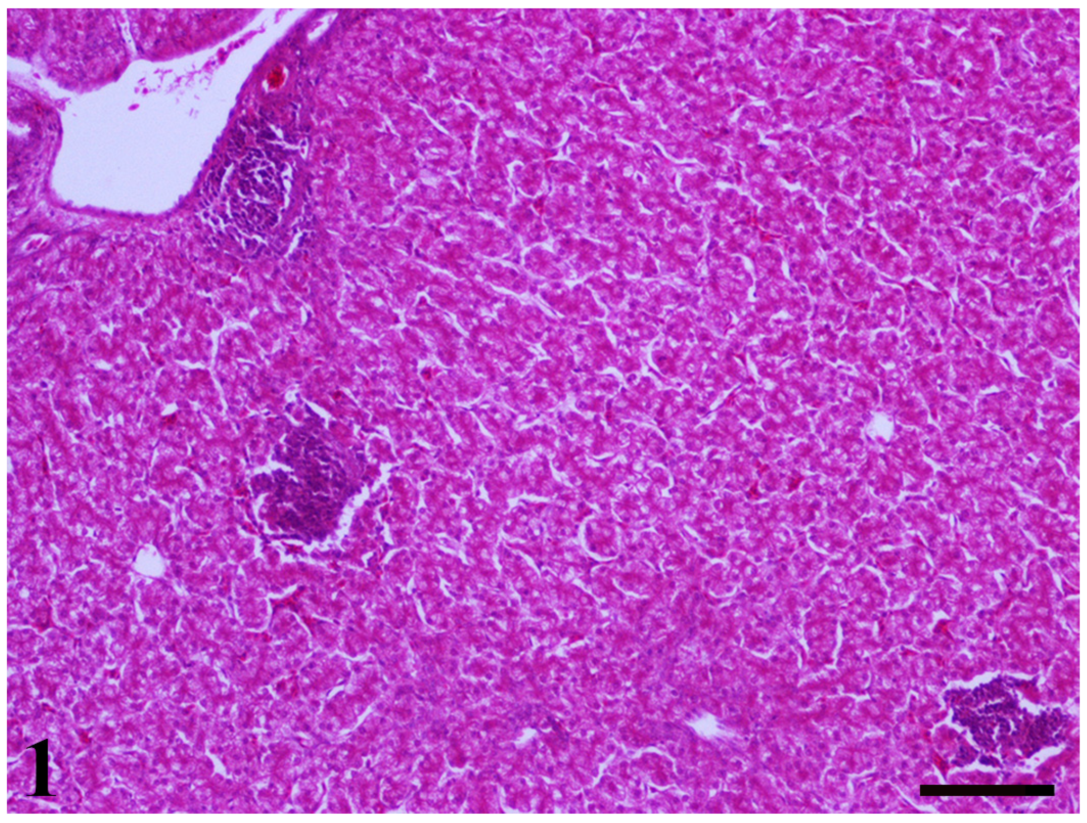 Toxins 13 00367 g001 Toxins 13 00367 g001