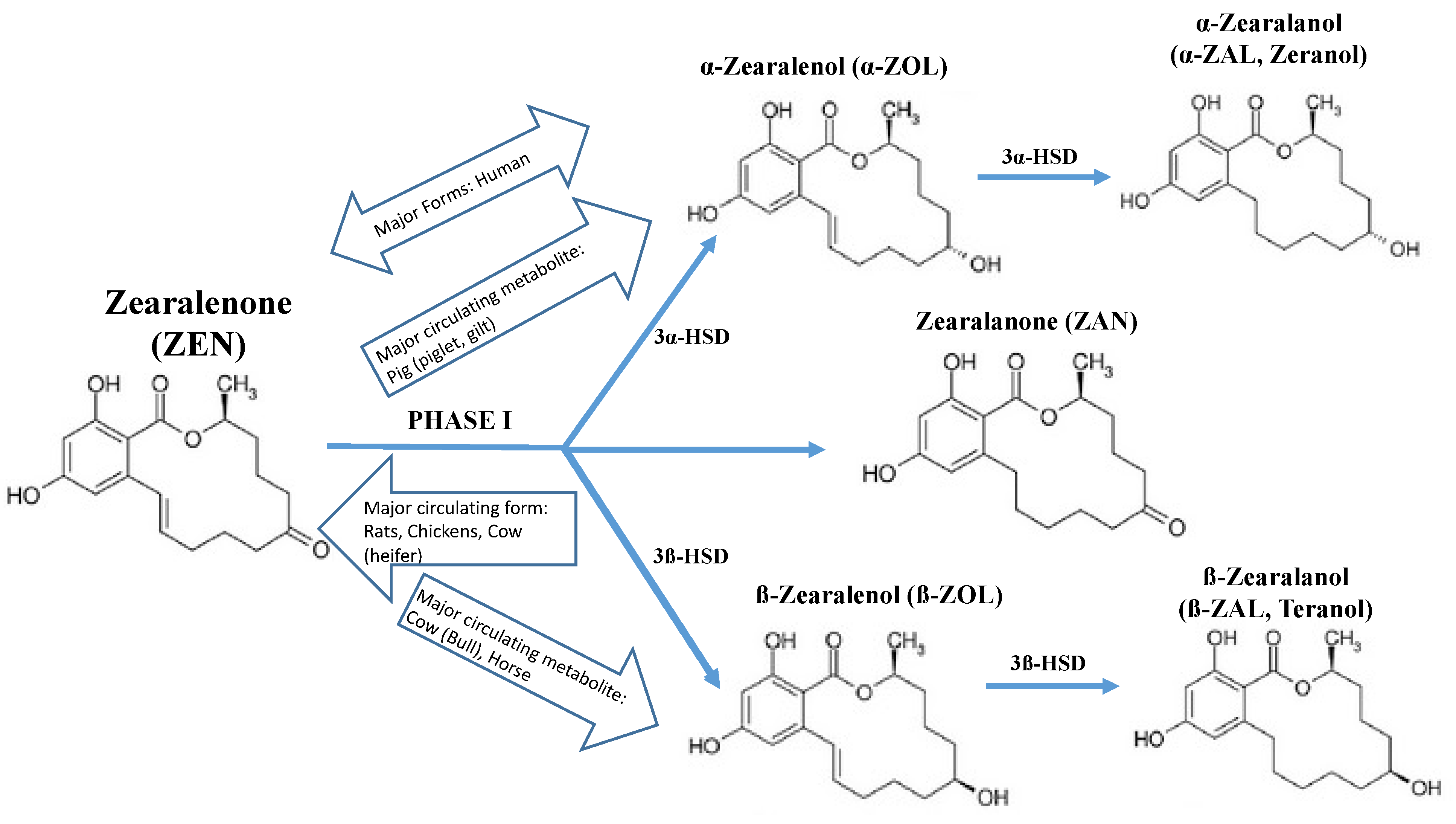 Toxins 13 00373 g002