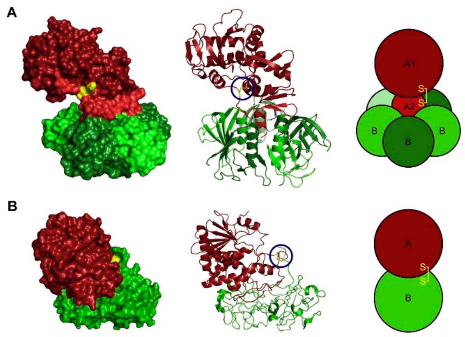 https://www.mdpi.com/toxins/toxins-13-00377/article_deploy/html/images/toxins-13-00377-g001.png