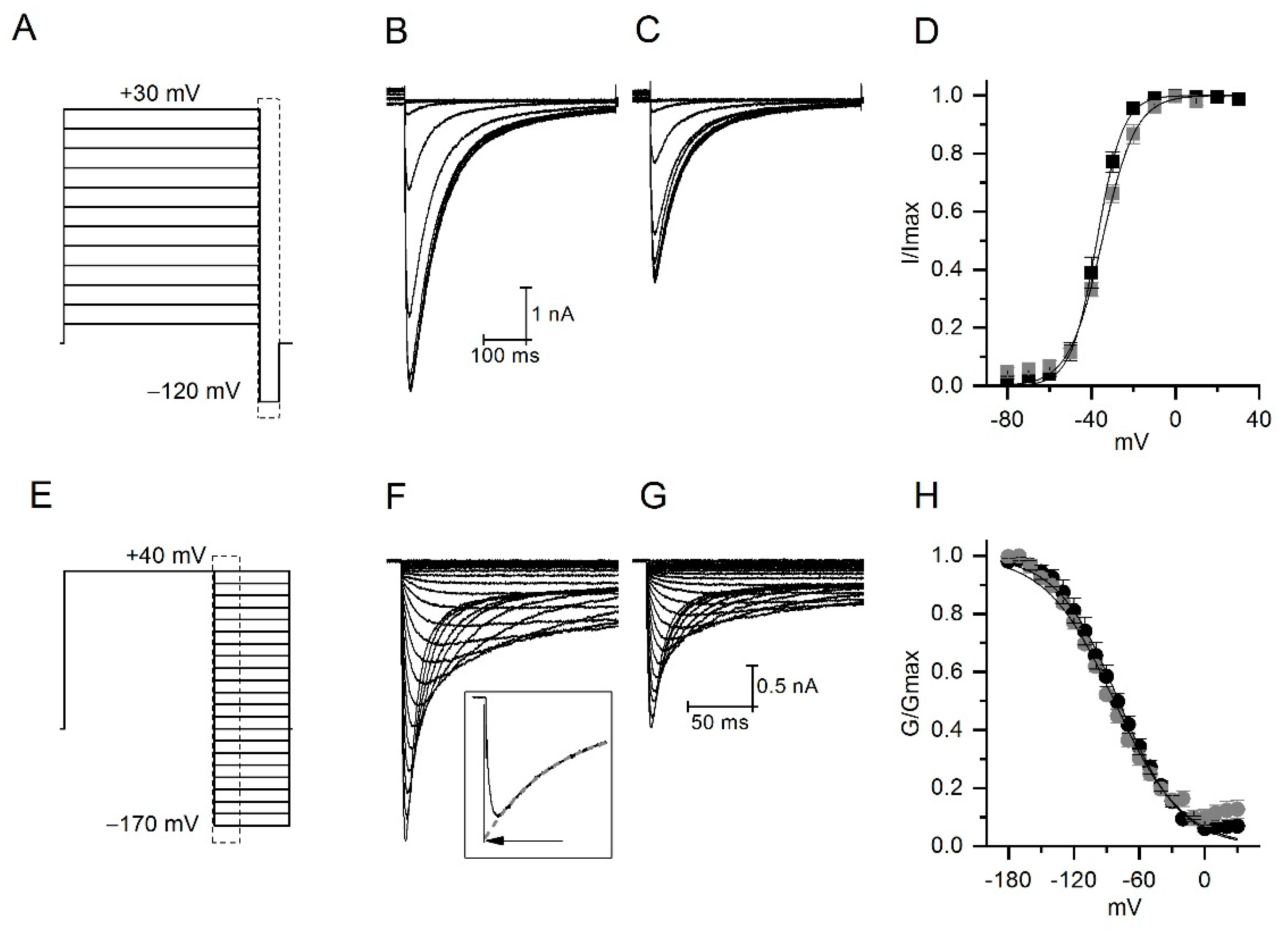 Toxins Free Full Text Colombian Scorpion Centruroides Margaritatus Purification And Characterization Of A Gamma Potassium Toxin With Full Block Activity On The Herg1 Channel Html