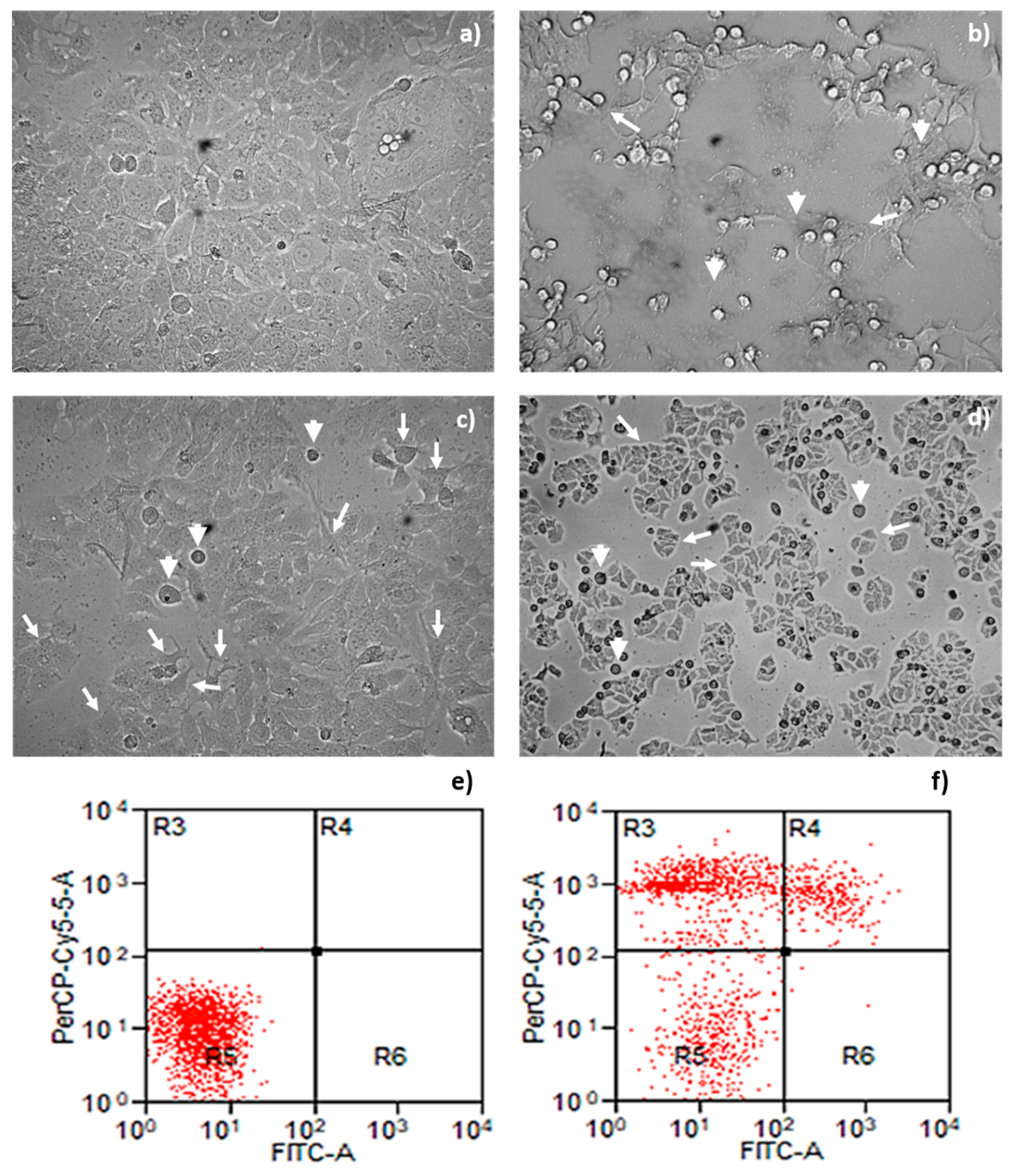 Toxins 13 00476 g005