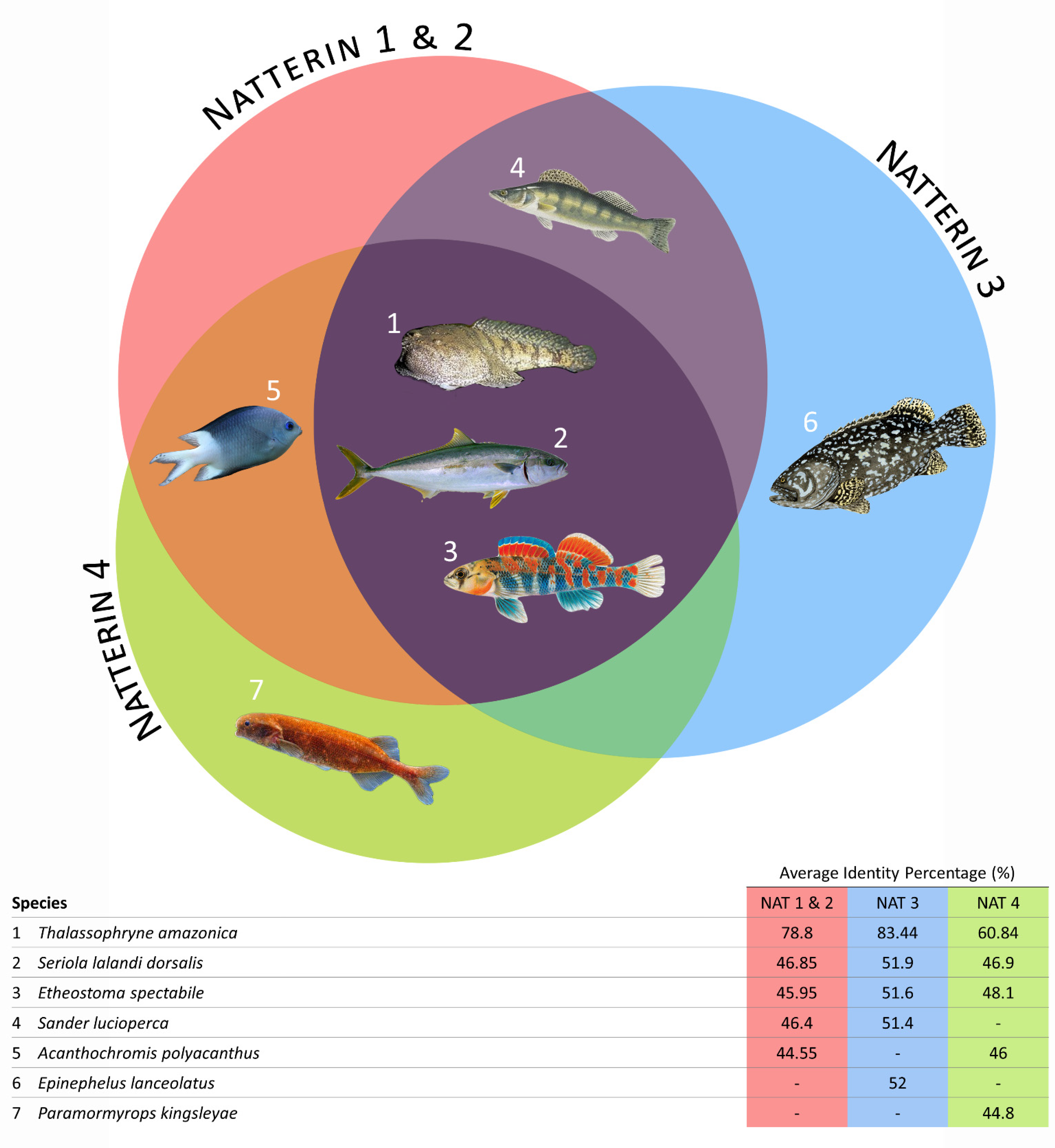 Toxins 13 00538 g003