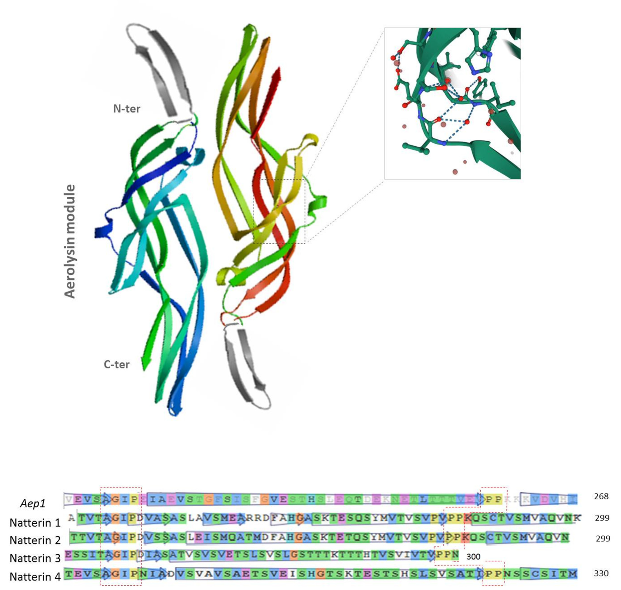 Toxins 13 00538 g005