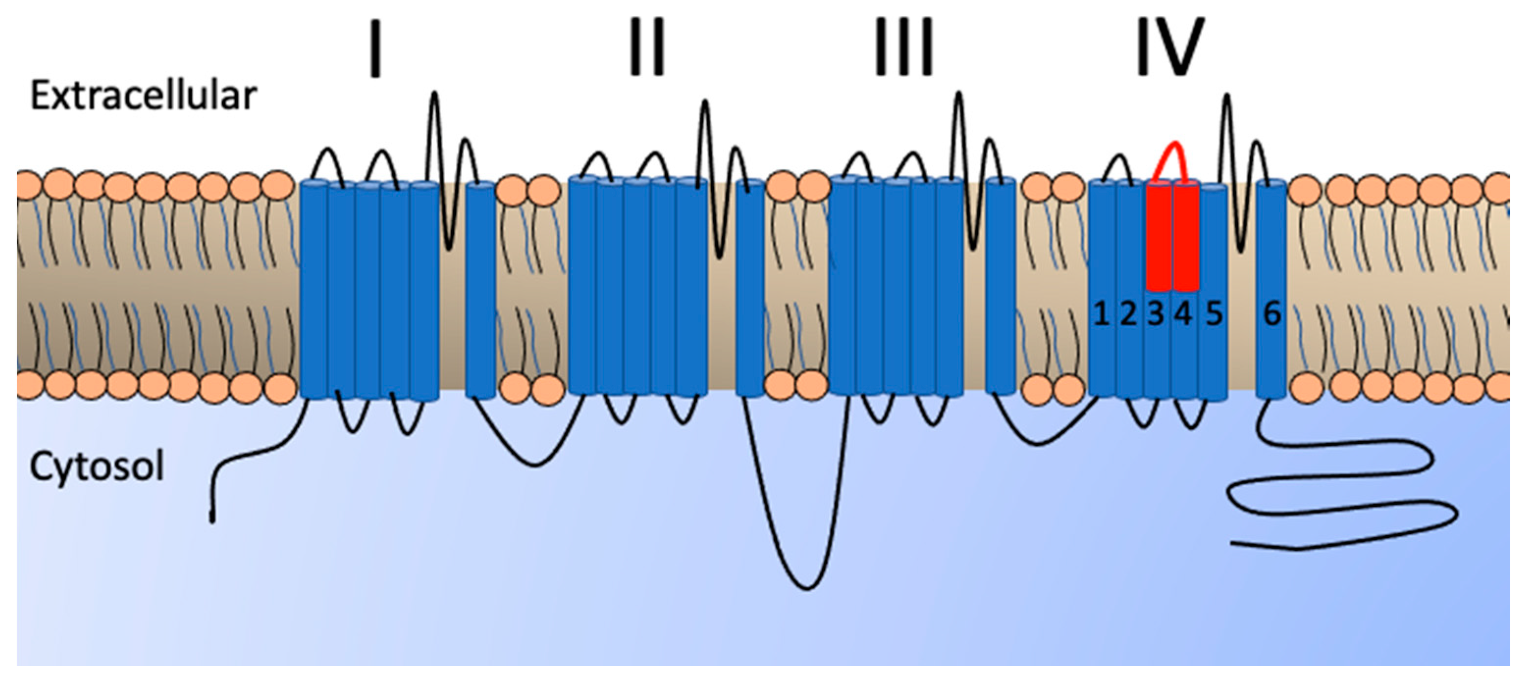 Toxins 13 00549 g004