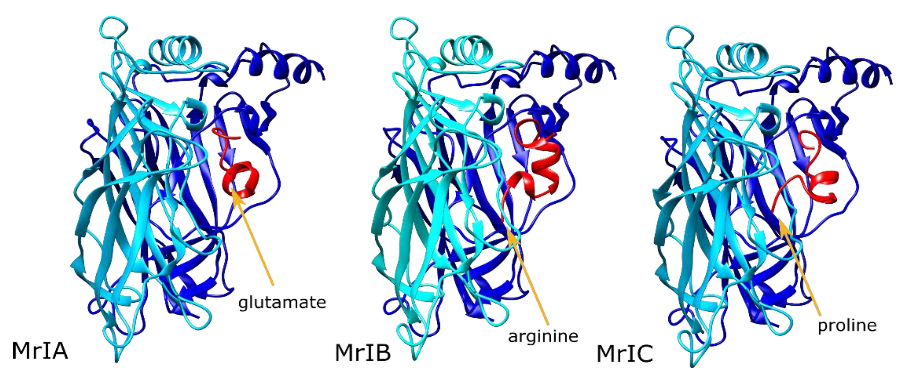 Toxins 13 00555 g002