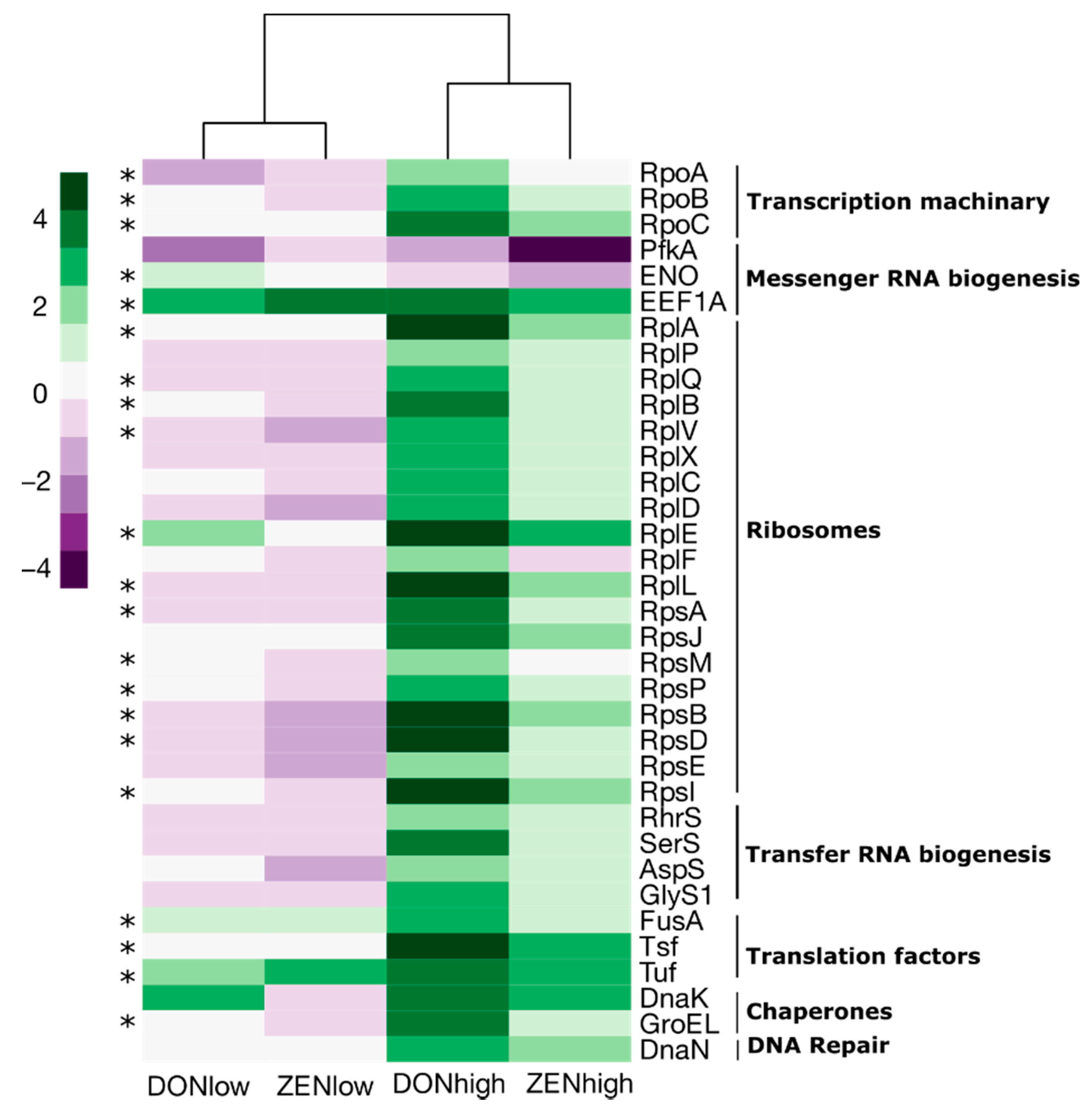 Toxins Free Full Text Metaproteomics Reveals Alteration Of The Gut Microbiome In Weaned Piglets Due To The Ingestion Of The Mycotoxins Deoxynivalenol And Zearalenone Html