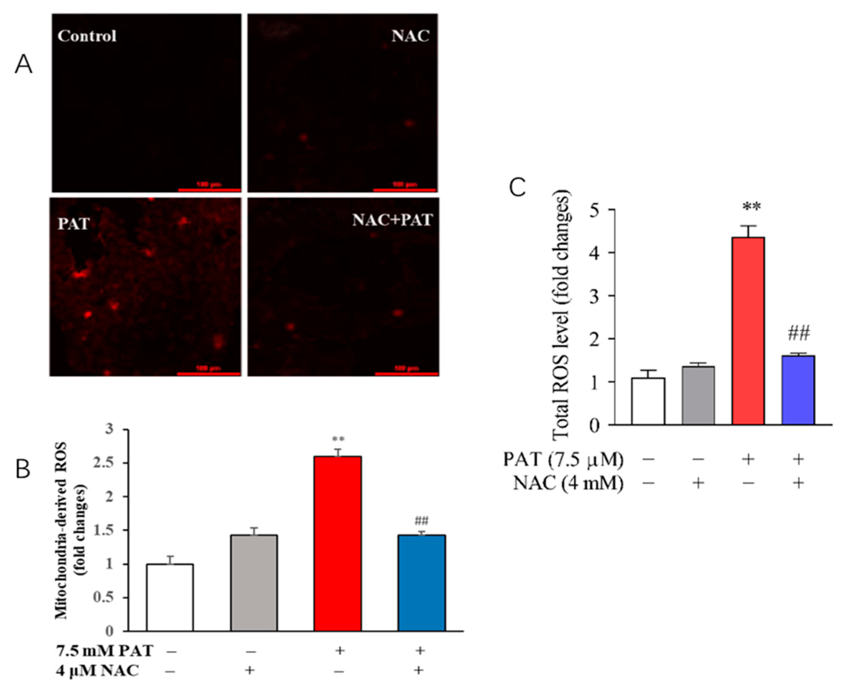 Toxins 13 00595 g003