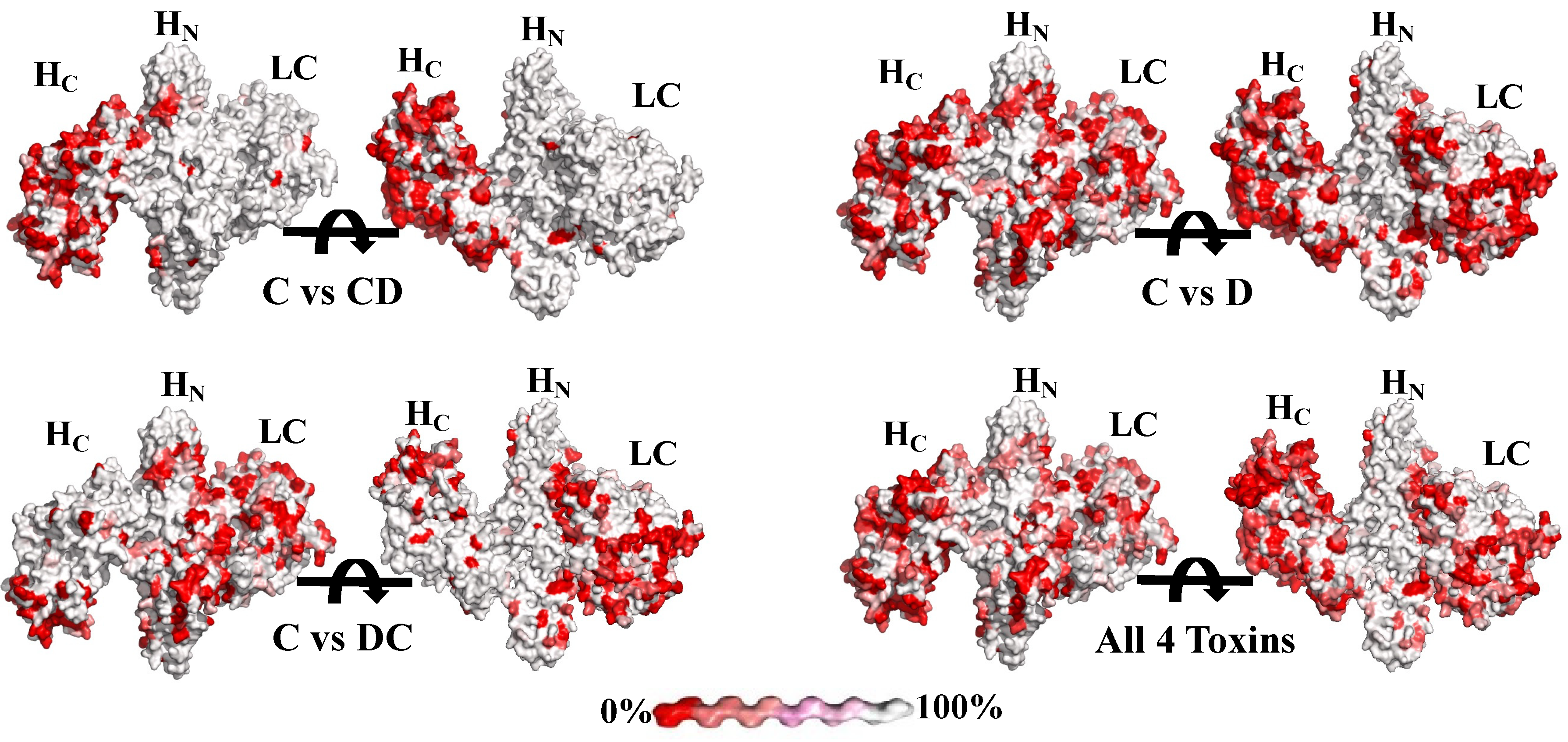 Toxins 13 00641 g001