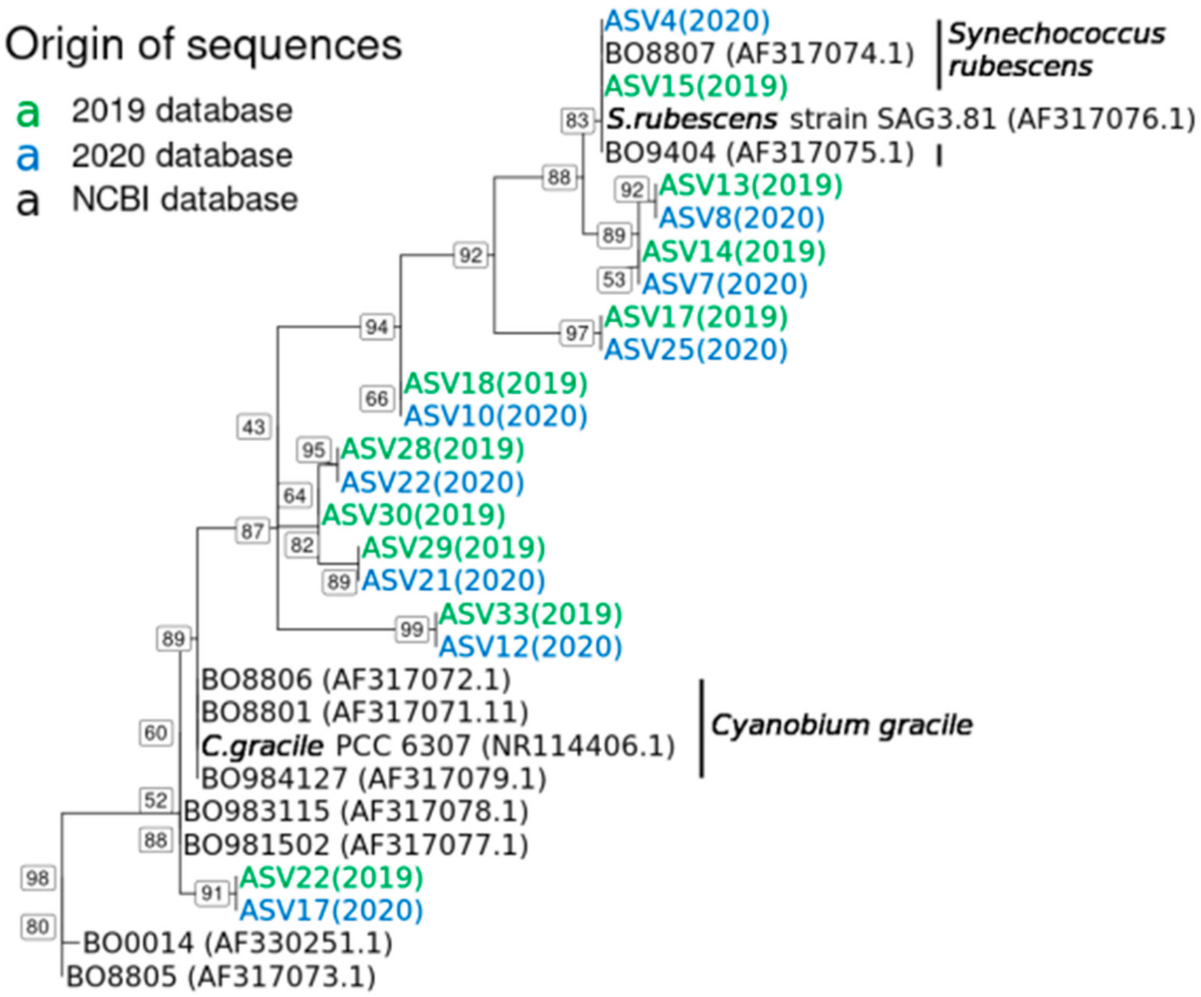 Toxins 13 00666 g003 Toxins 13 00666 g003