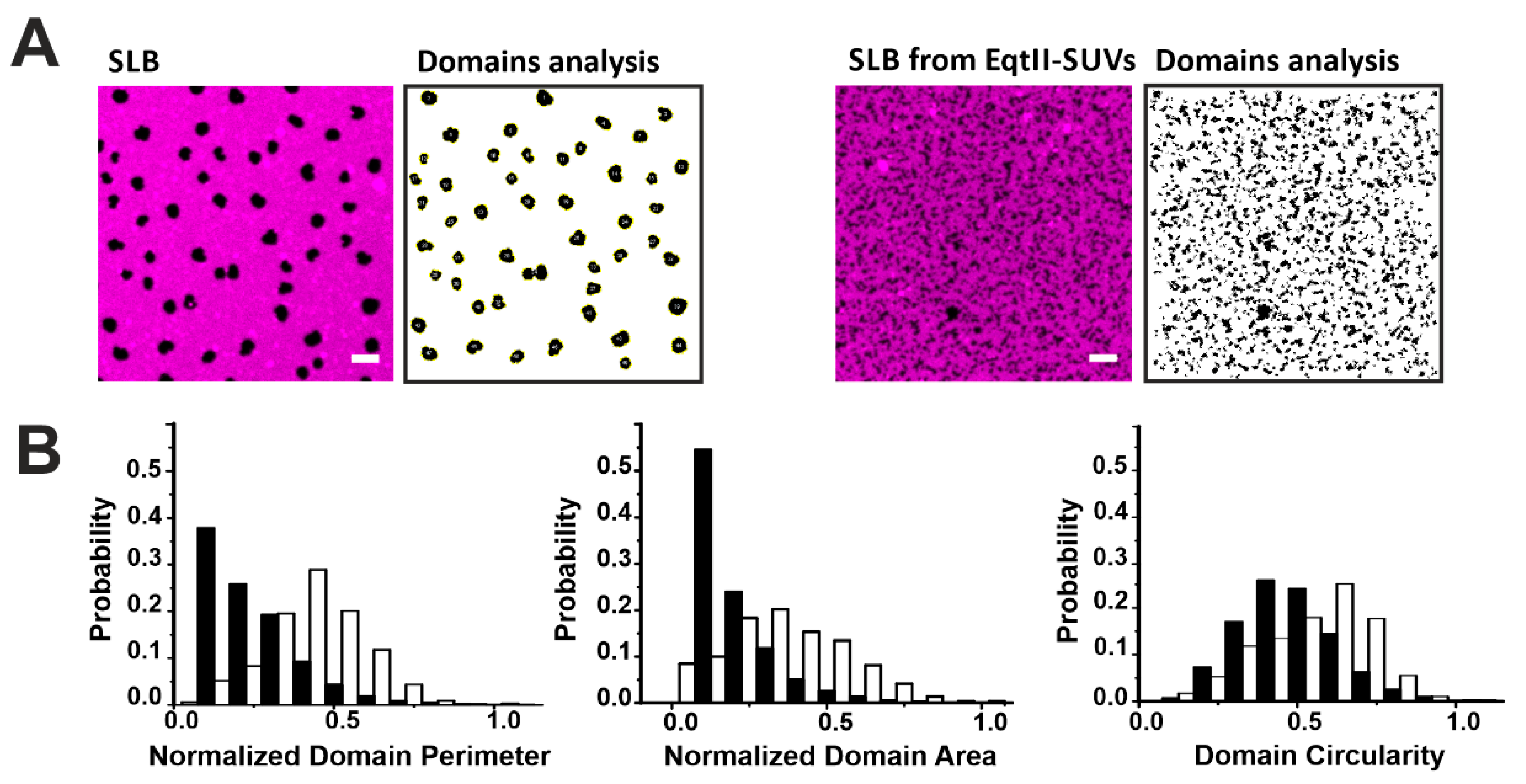 Toxins 13 00669 g004