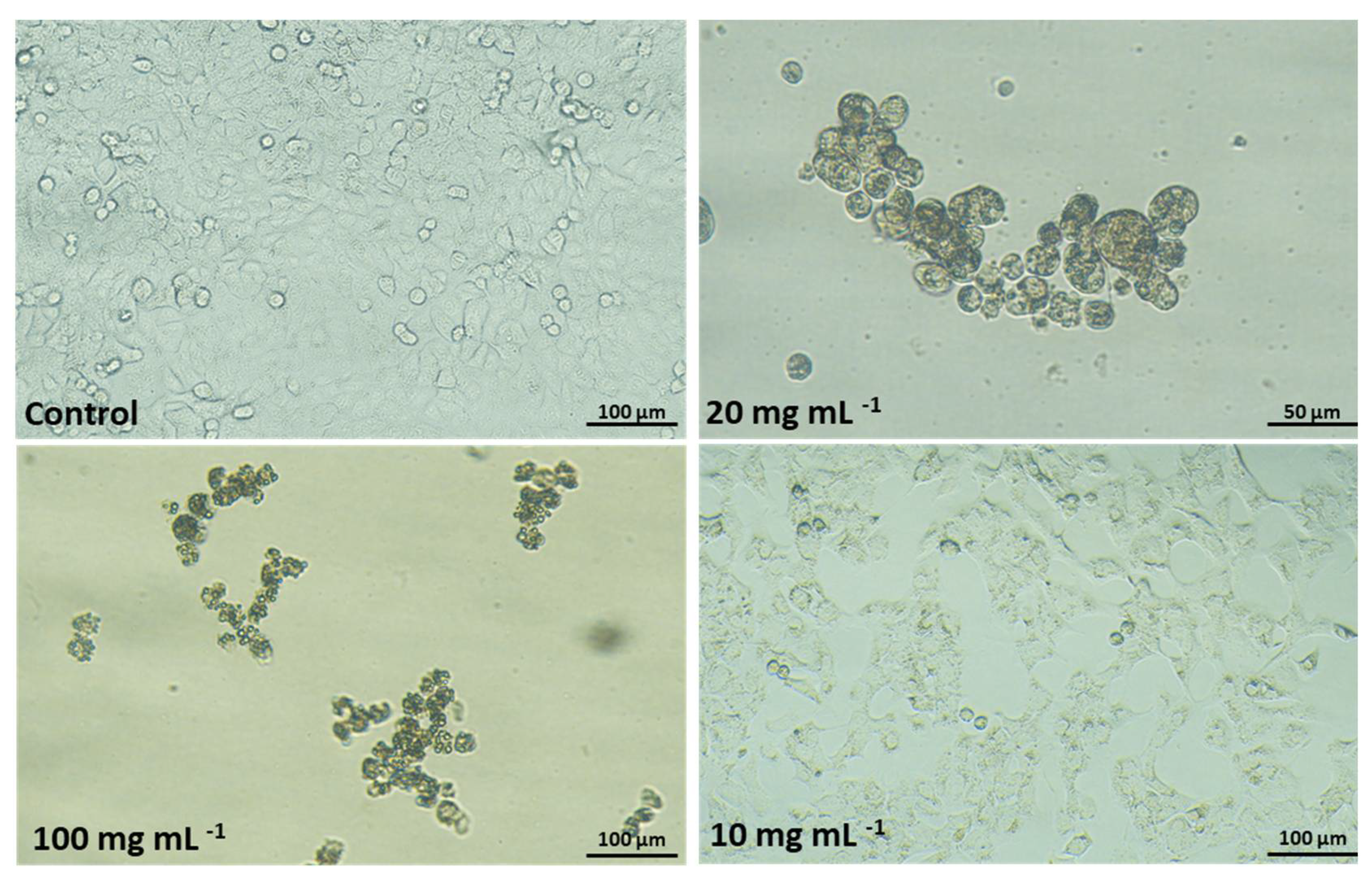 Toxins 13 00691 g005