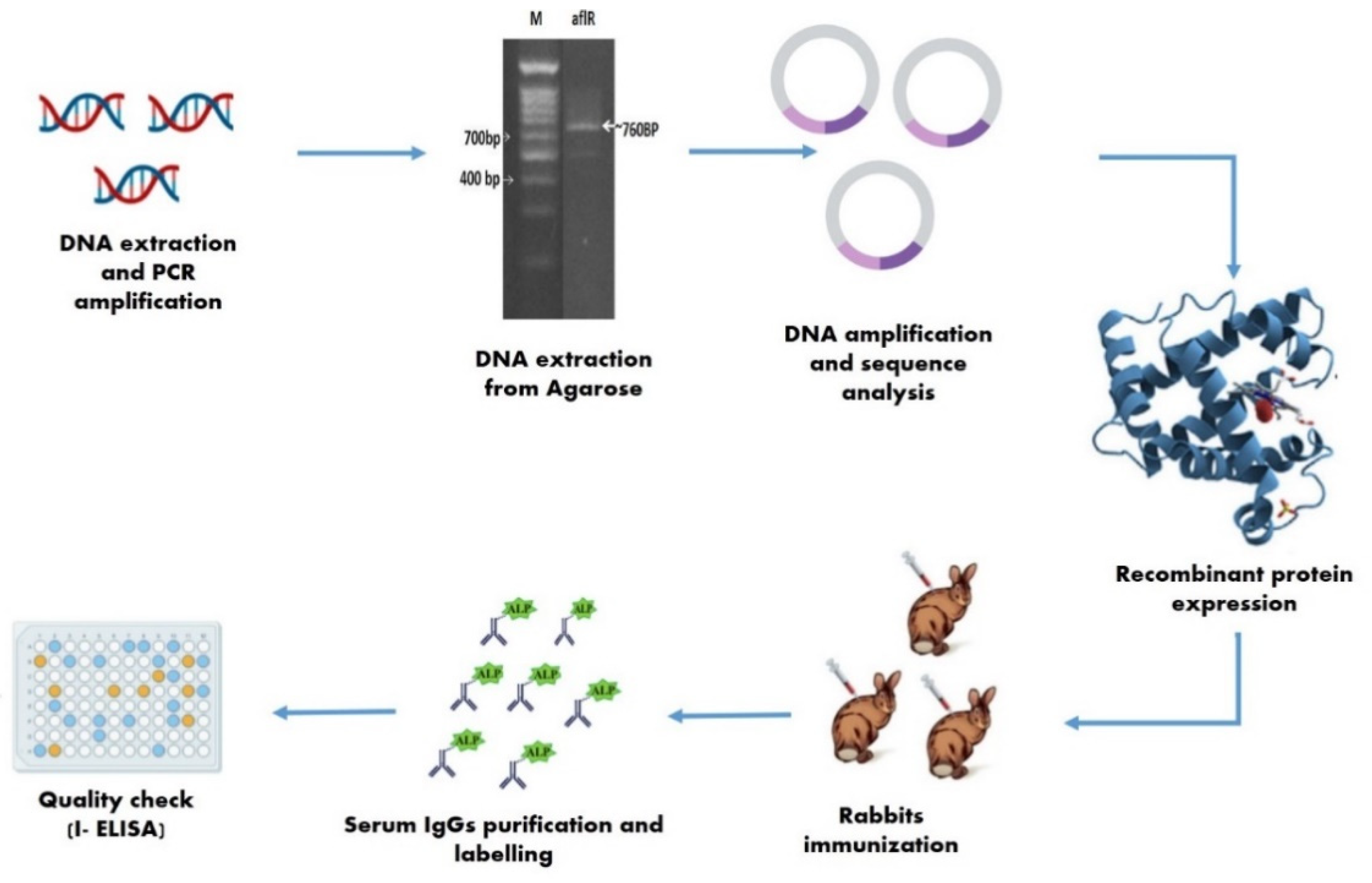 Toxins | Free Full-Text | Validation of New ELISA Technique for ...