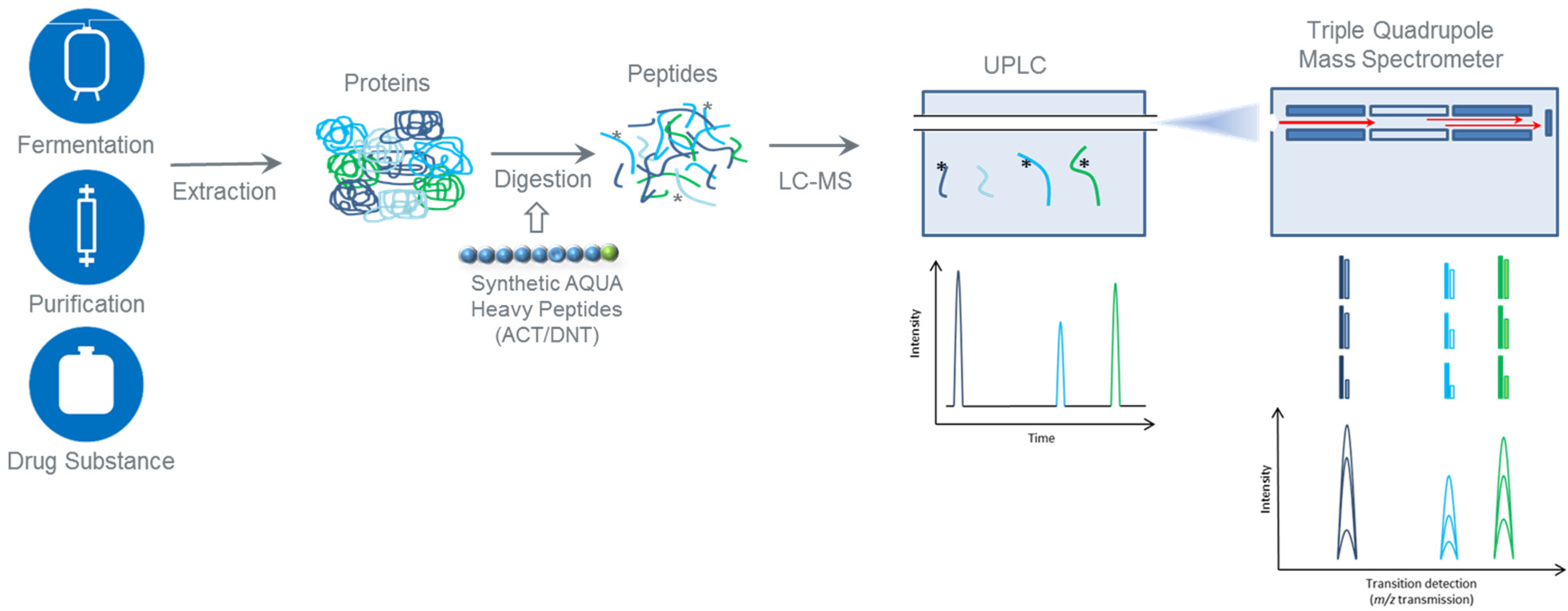 Toxins 13 00763 g001