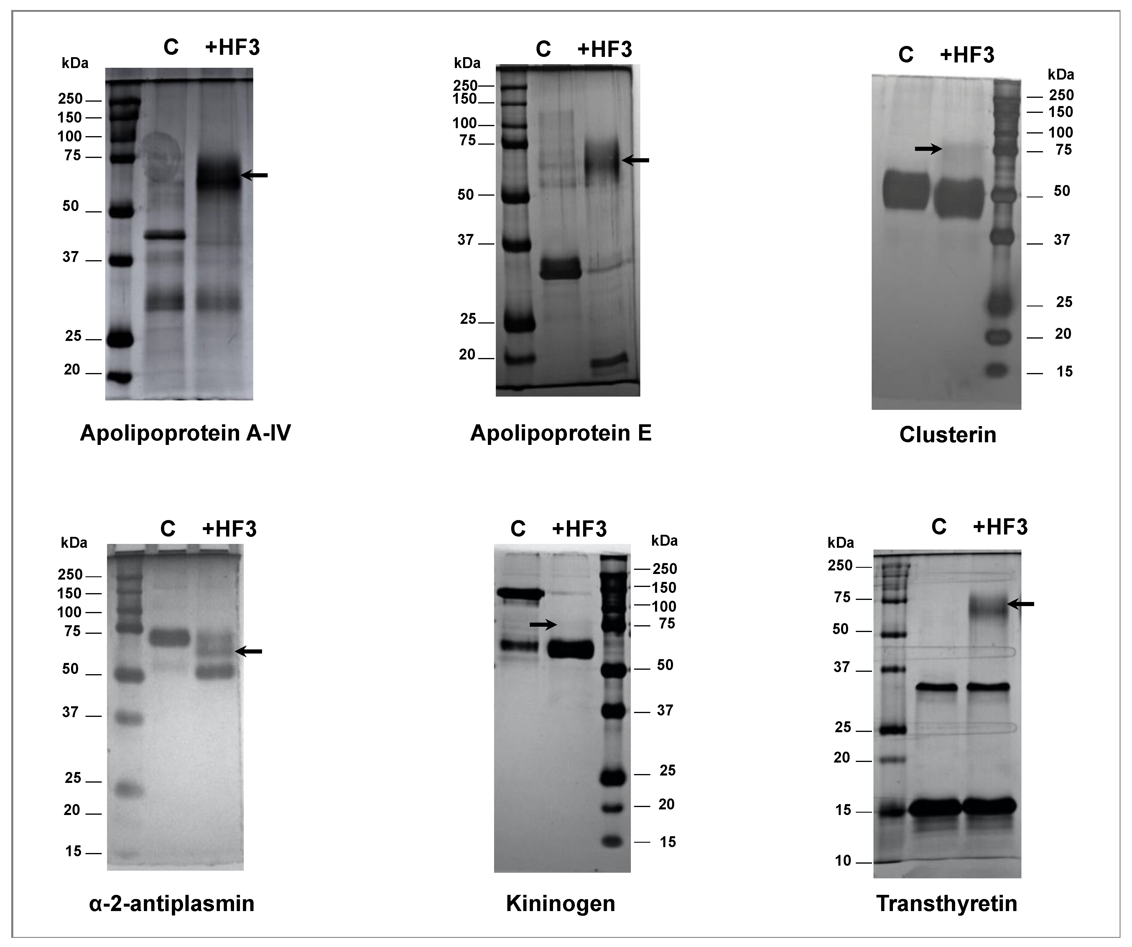 Toxins 13 00764 g005