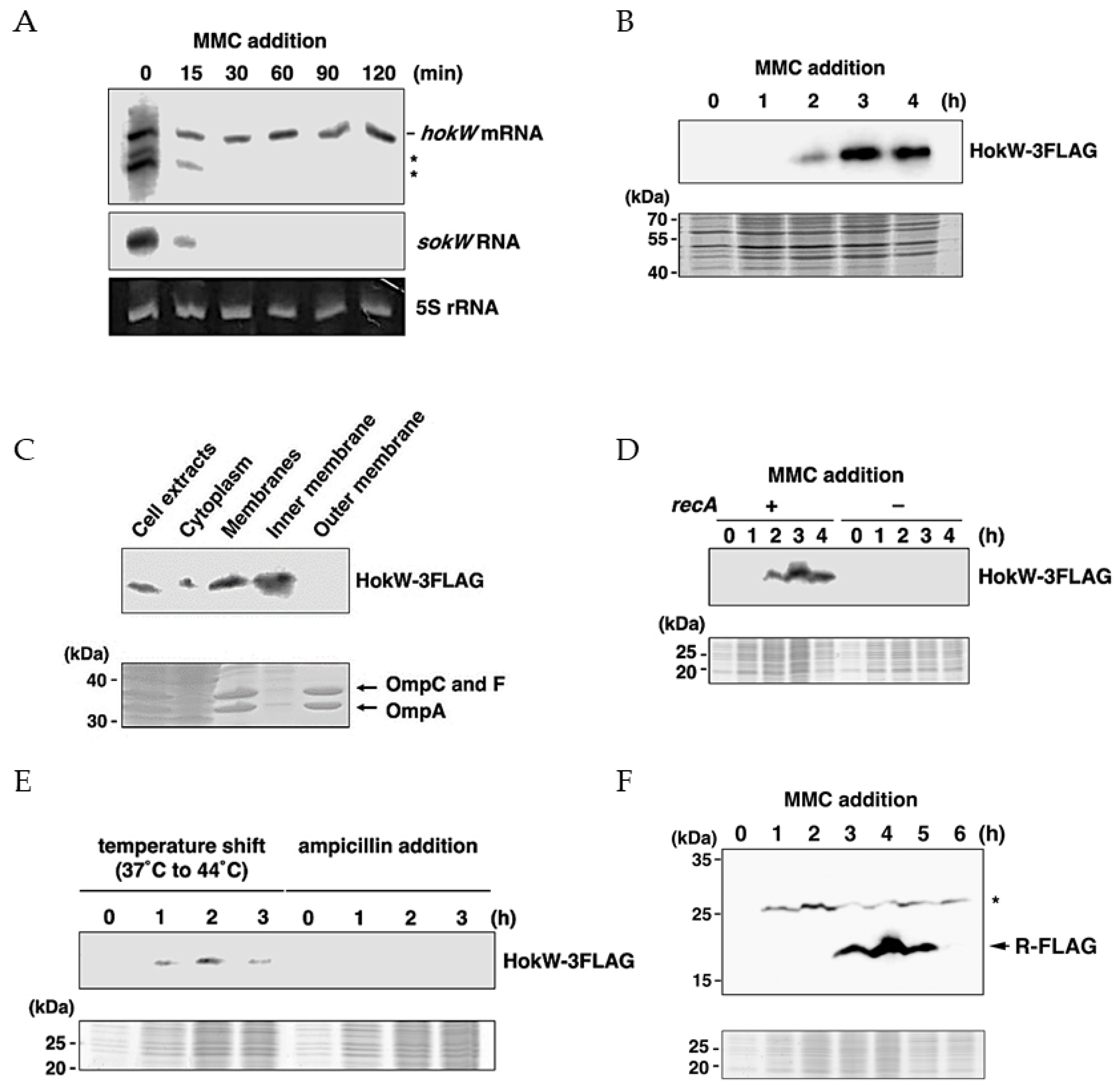 Toxins 13 00796 g004