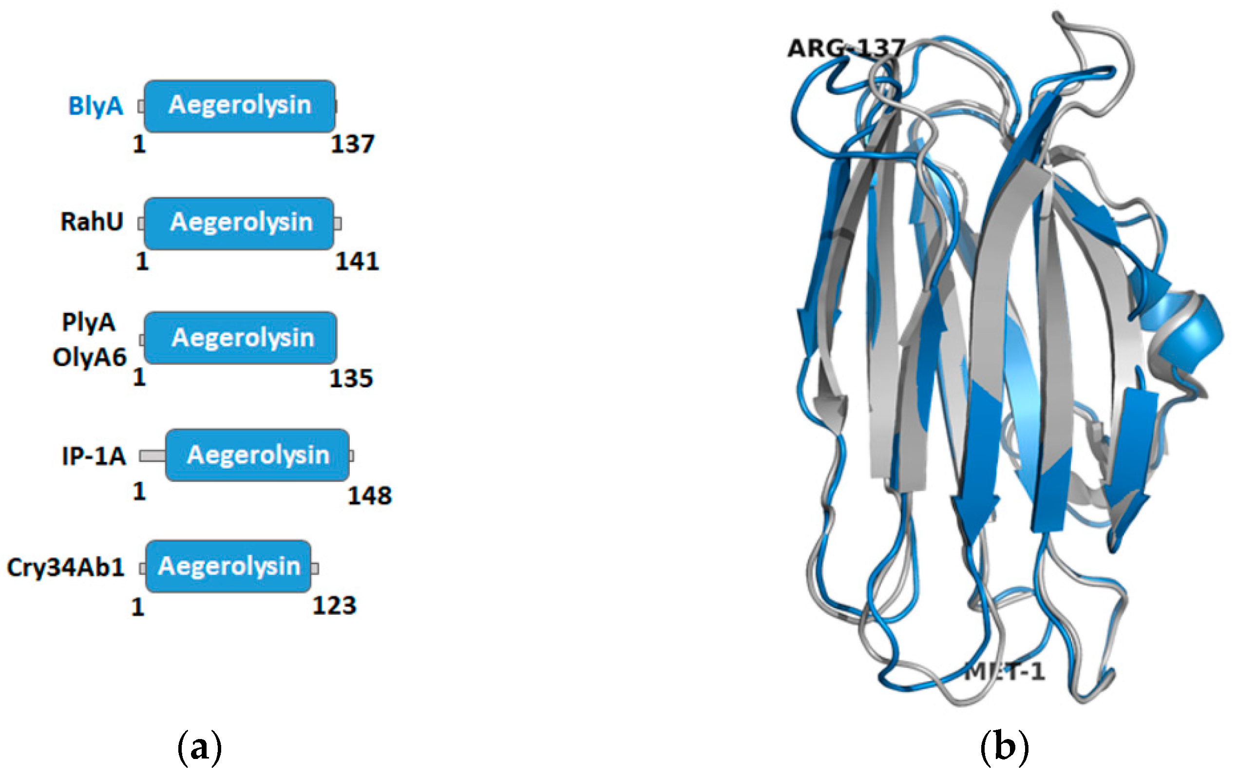 Toxins 13 00820 g002