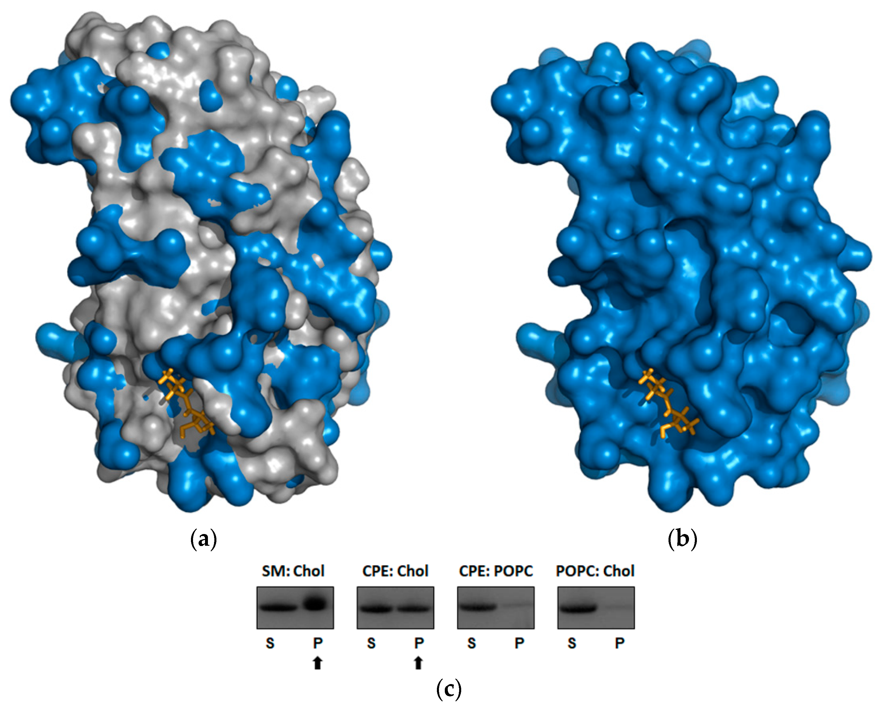 Toxins 13 00820 g003
