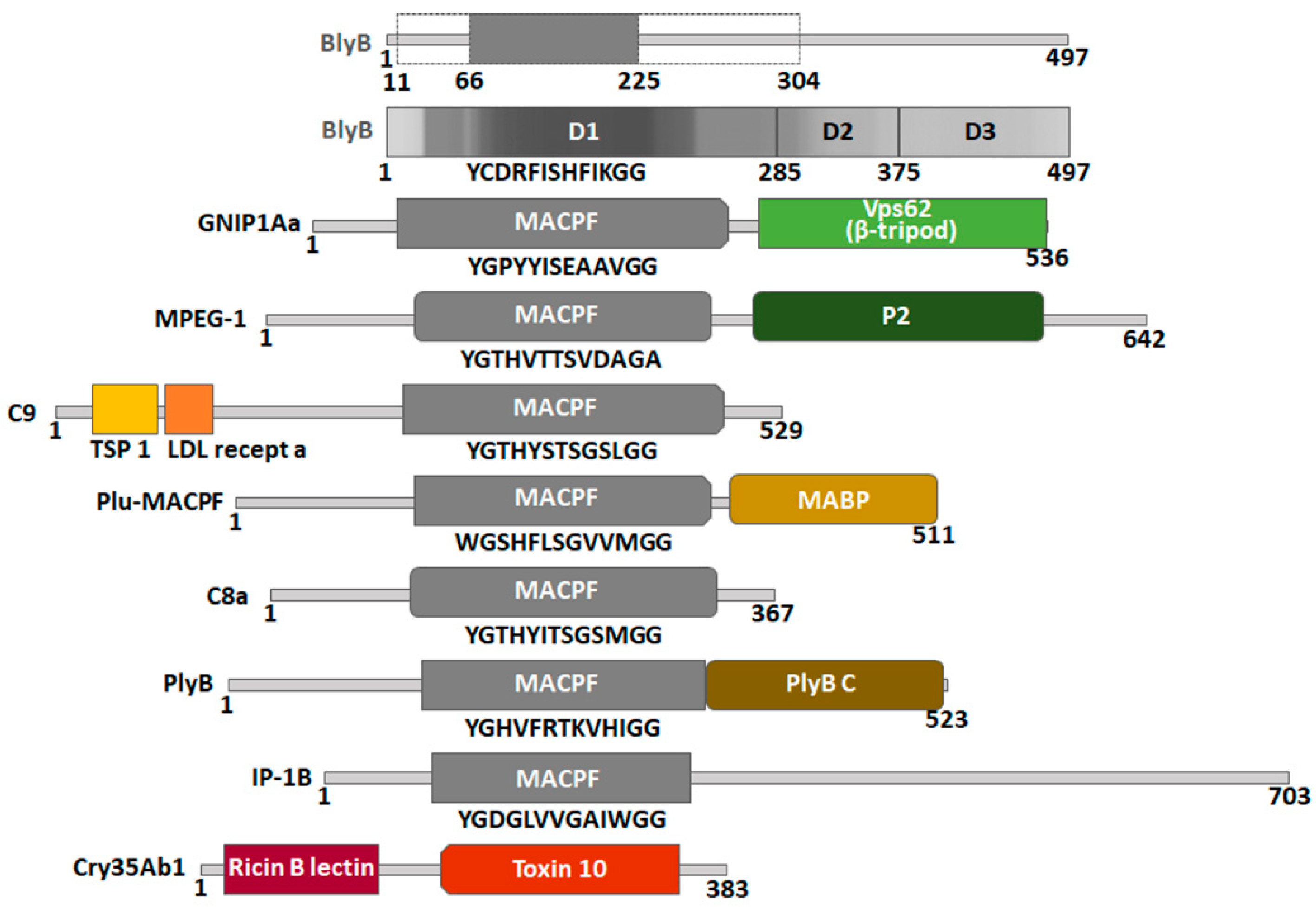 Toxins 13 00820 g005