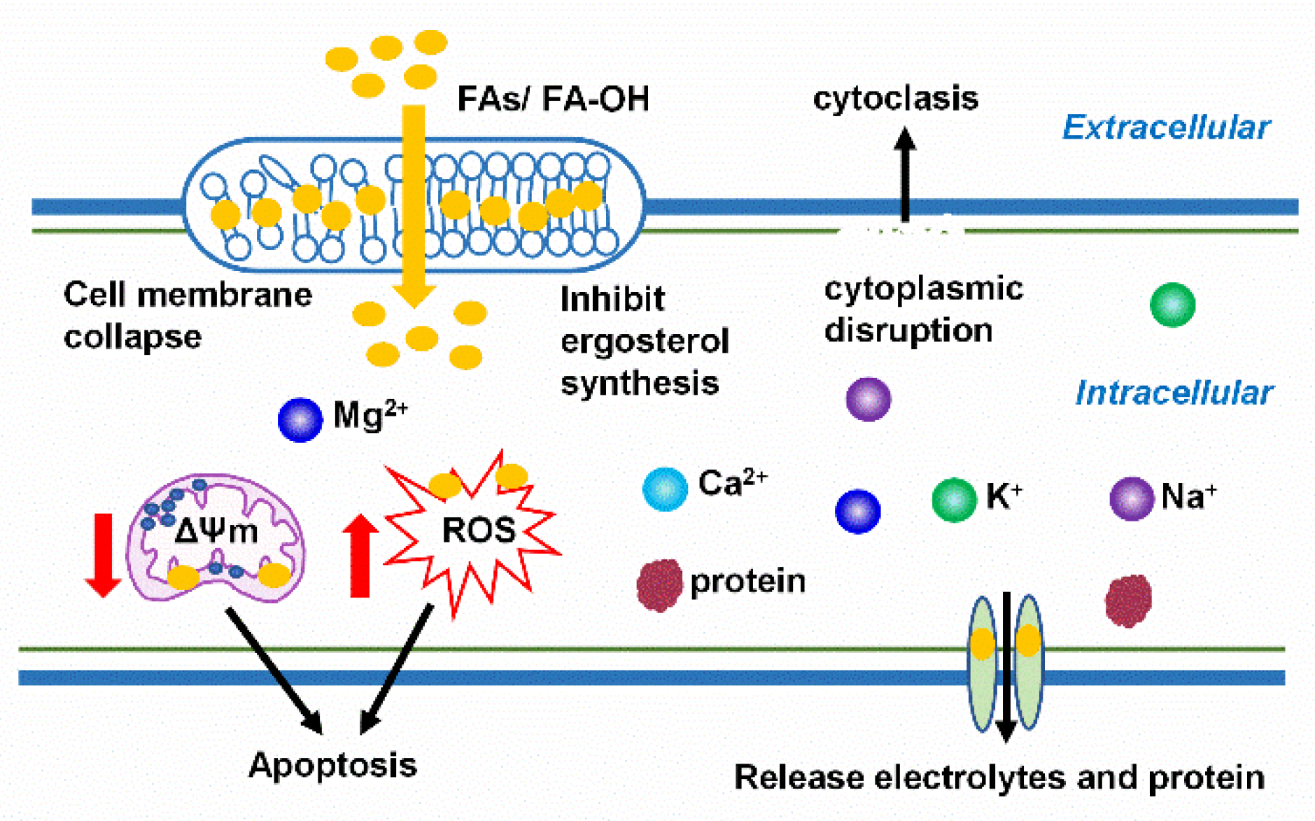 Toxins 13 00852 g001