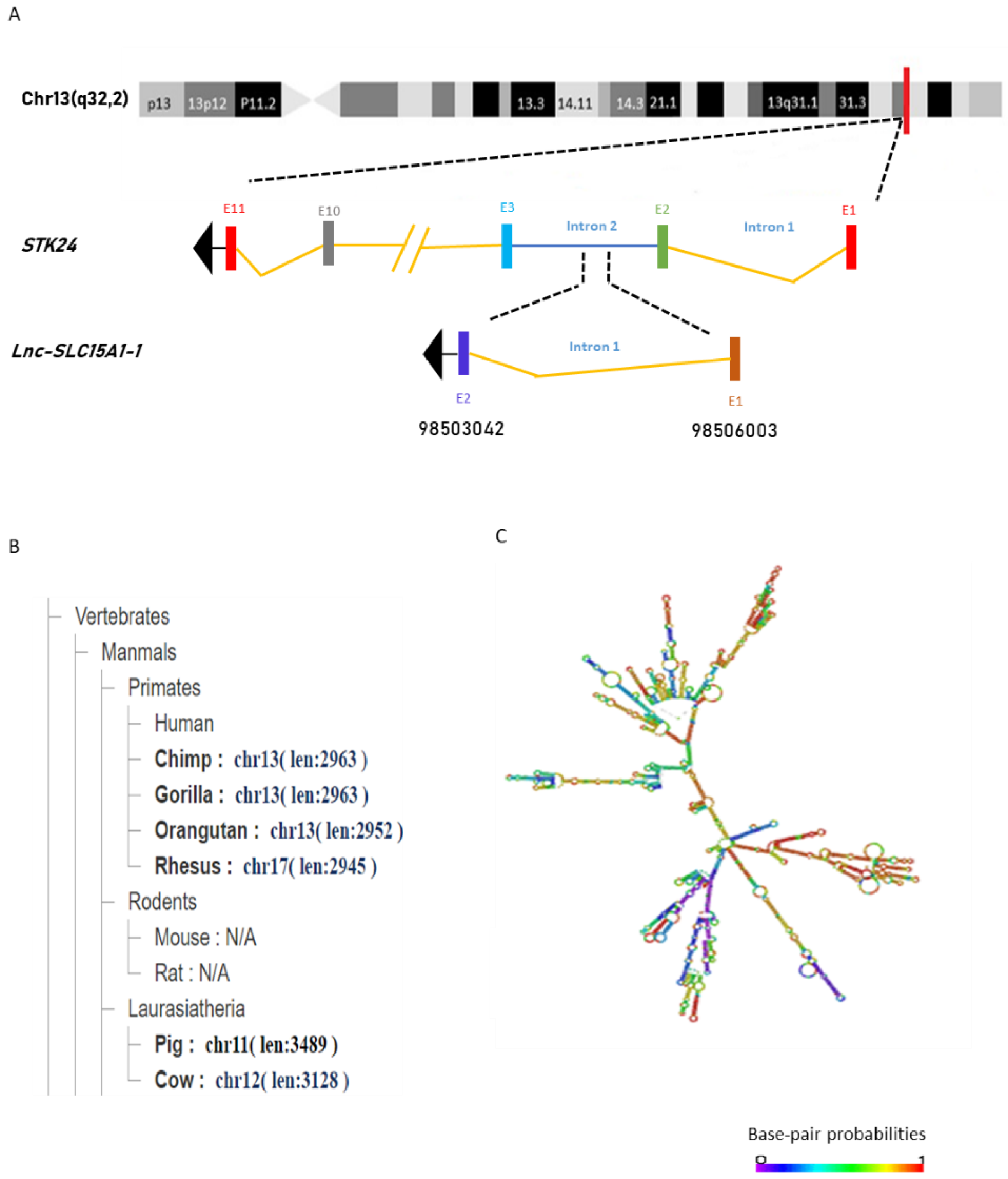 Toxins 13 00873 g002