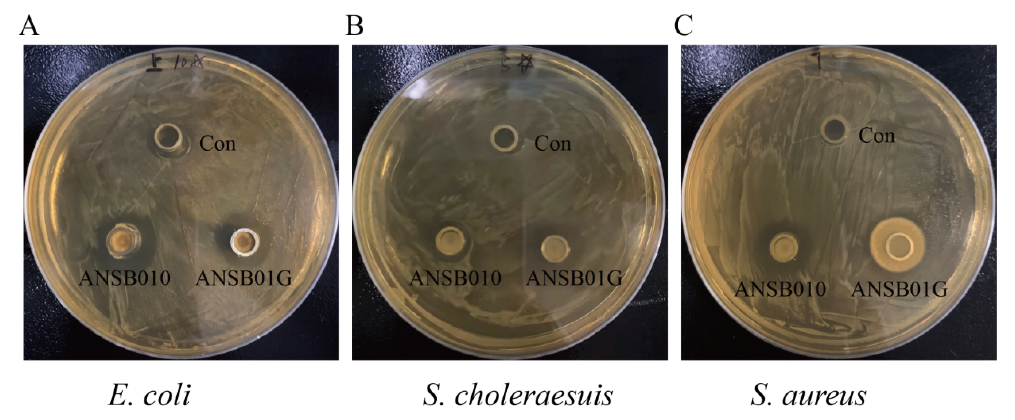 Toxins 13 00882 g002
