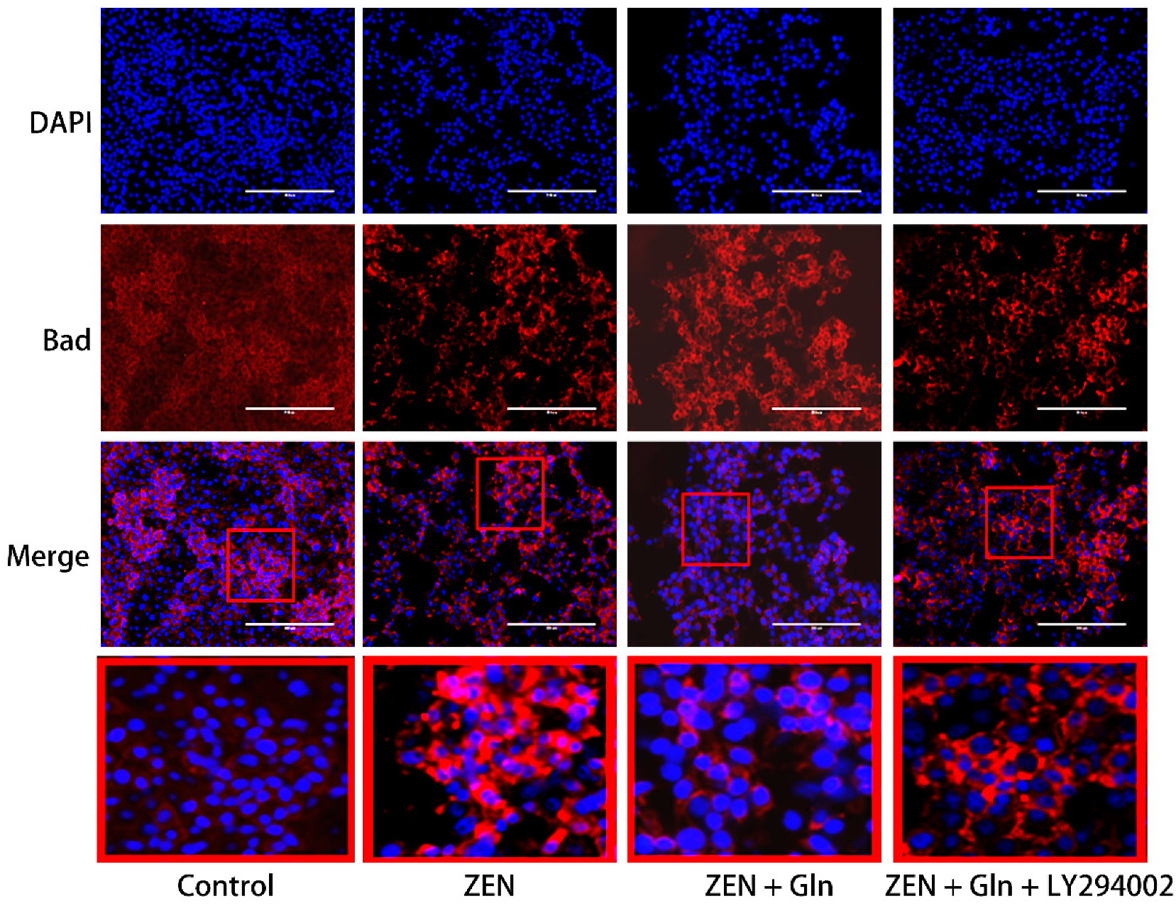 Toxins 13 00891 g008