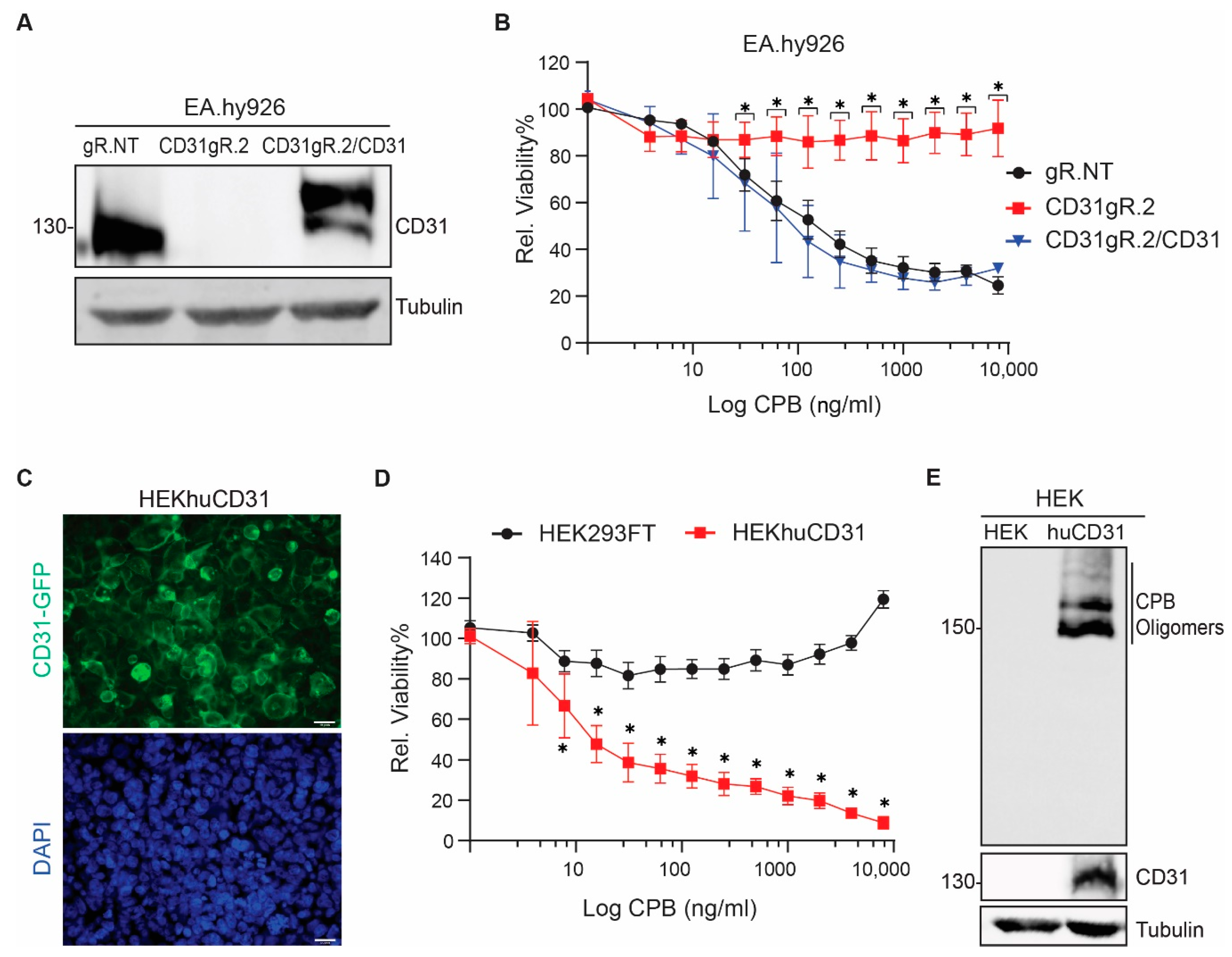 Toxins 13 00893 g003