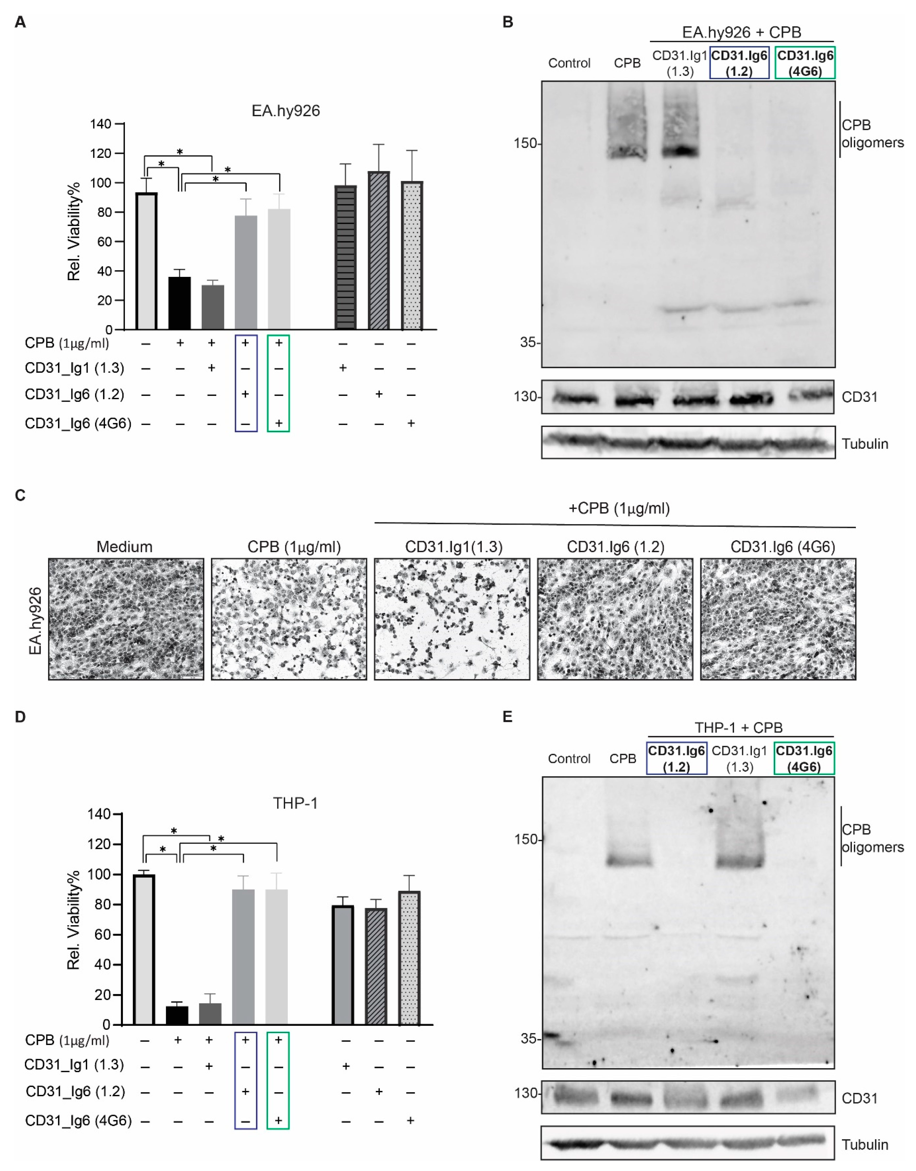 Toxins 13 00893 g005