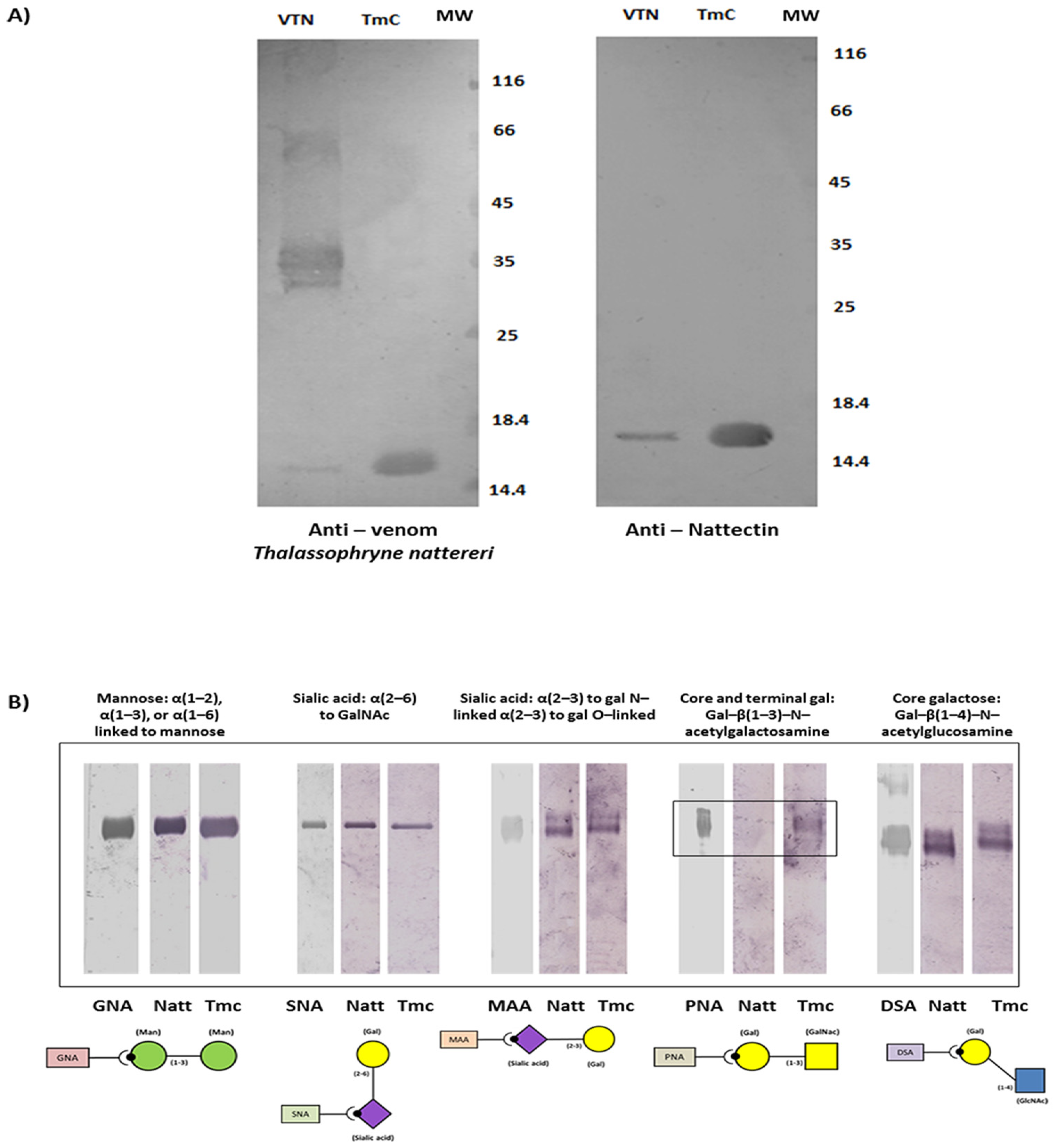 Toxins 14 00002 g003