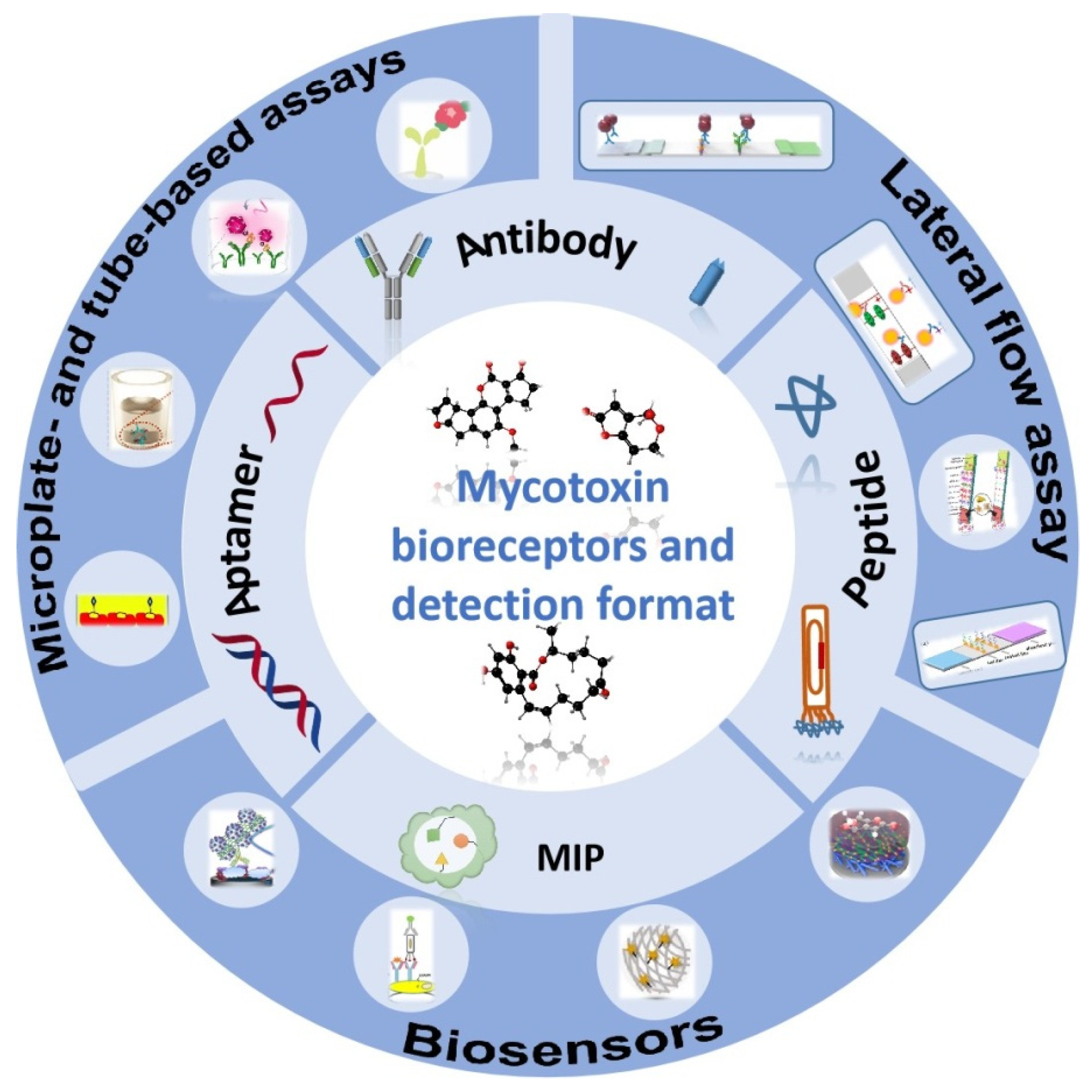Toxins | Free Full-Text | Recent Progress in Rapid Determination of  Mycotoxins Based on Emerging Biorecognition Molecules: A Review