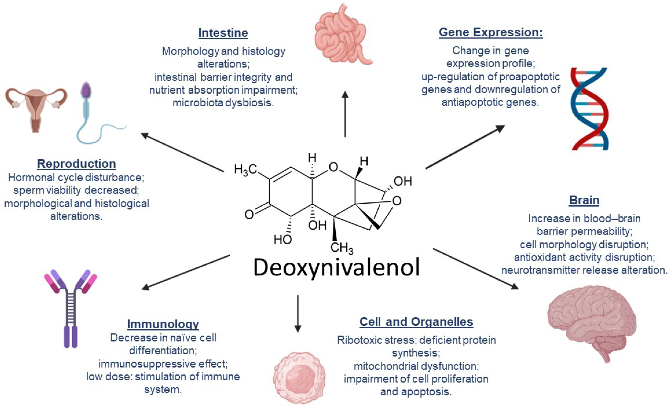 Toxins 14 00090 g002
