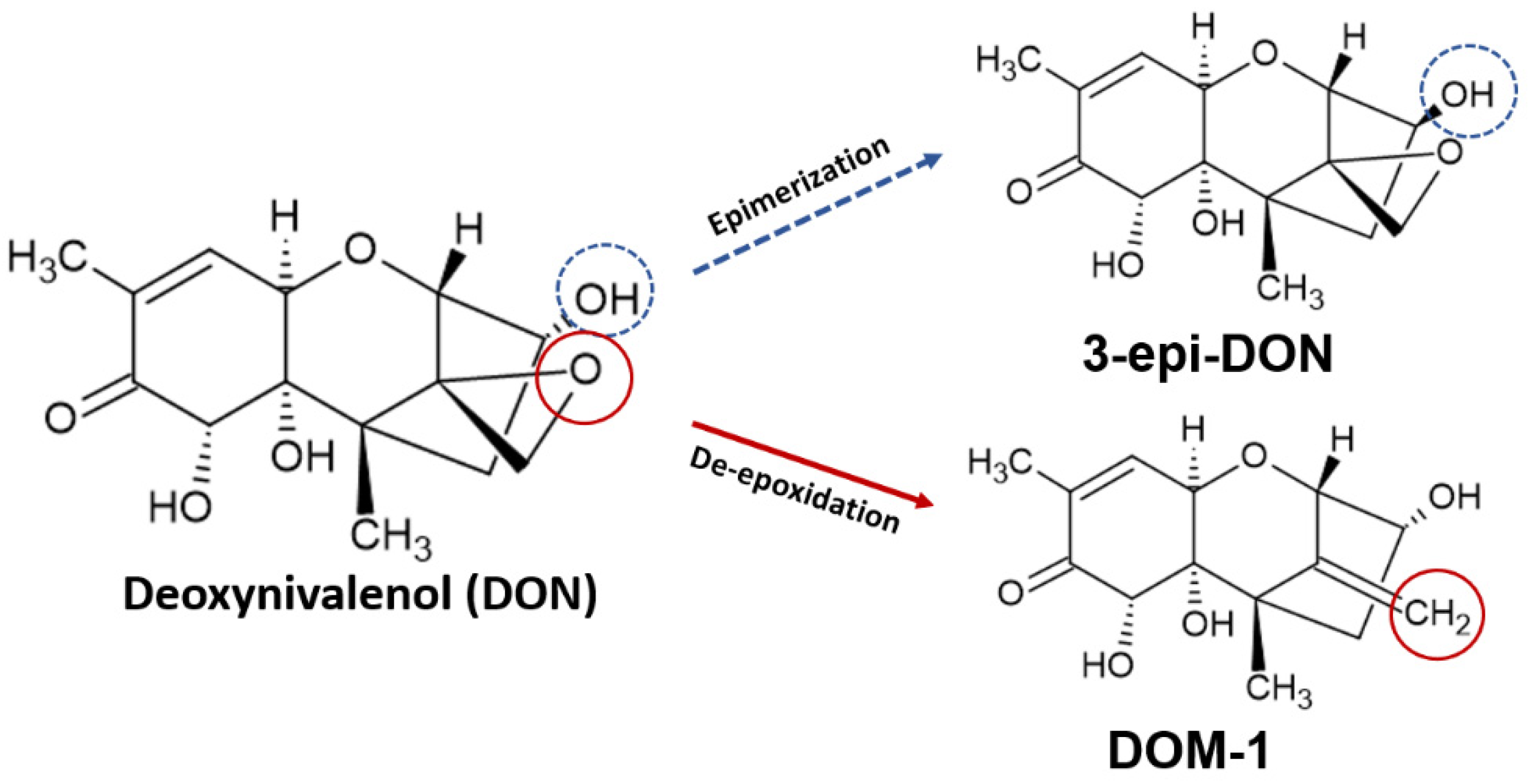Toxins 14 00090 g003