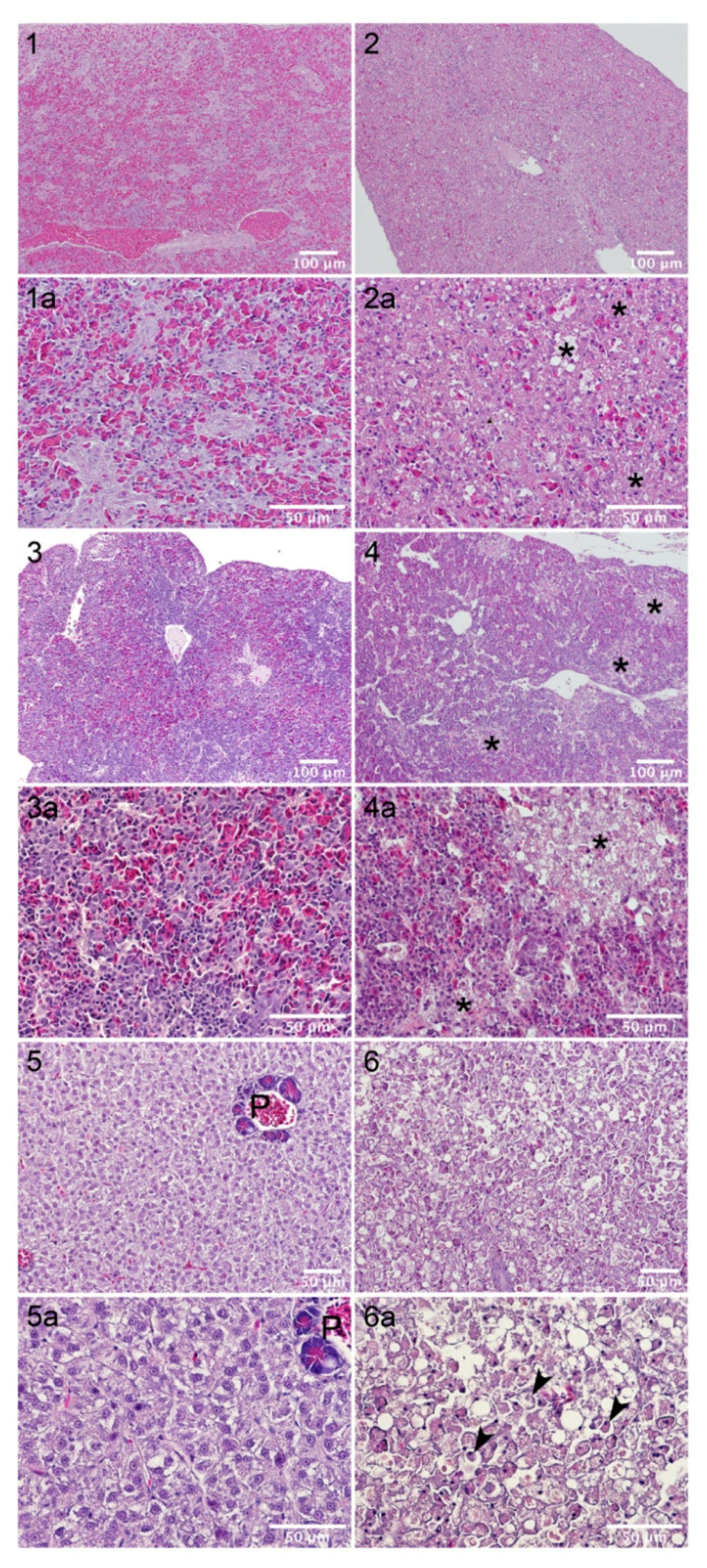 Toxins 14 00119 g005