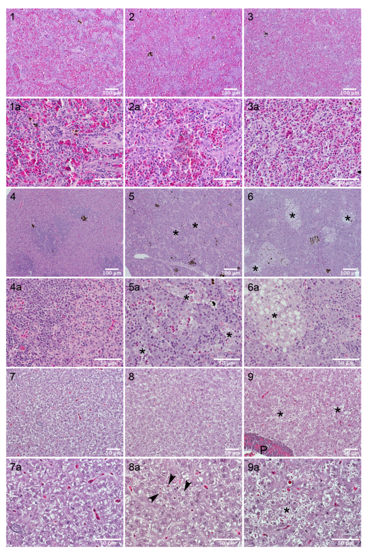 Toxins 14 00119 g006