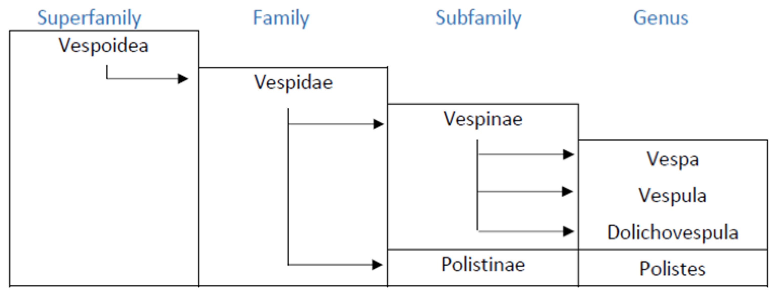 Lastre in vermiculite